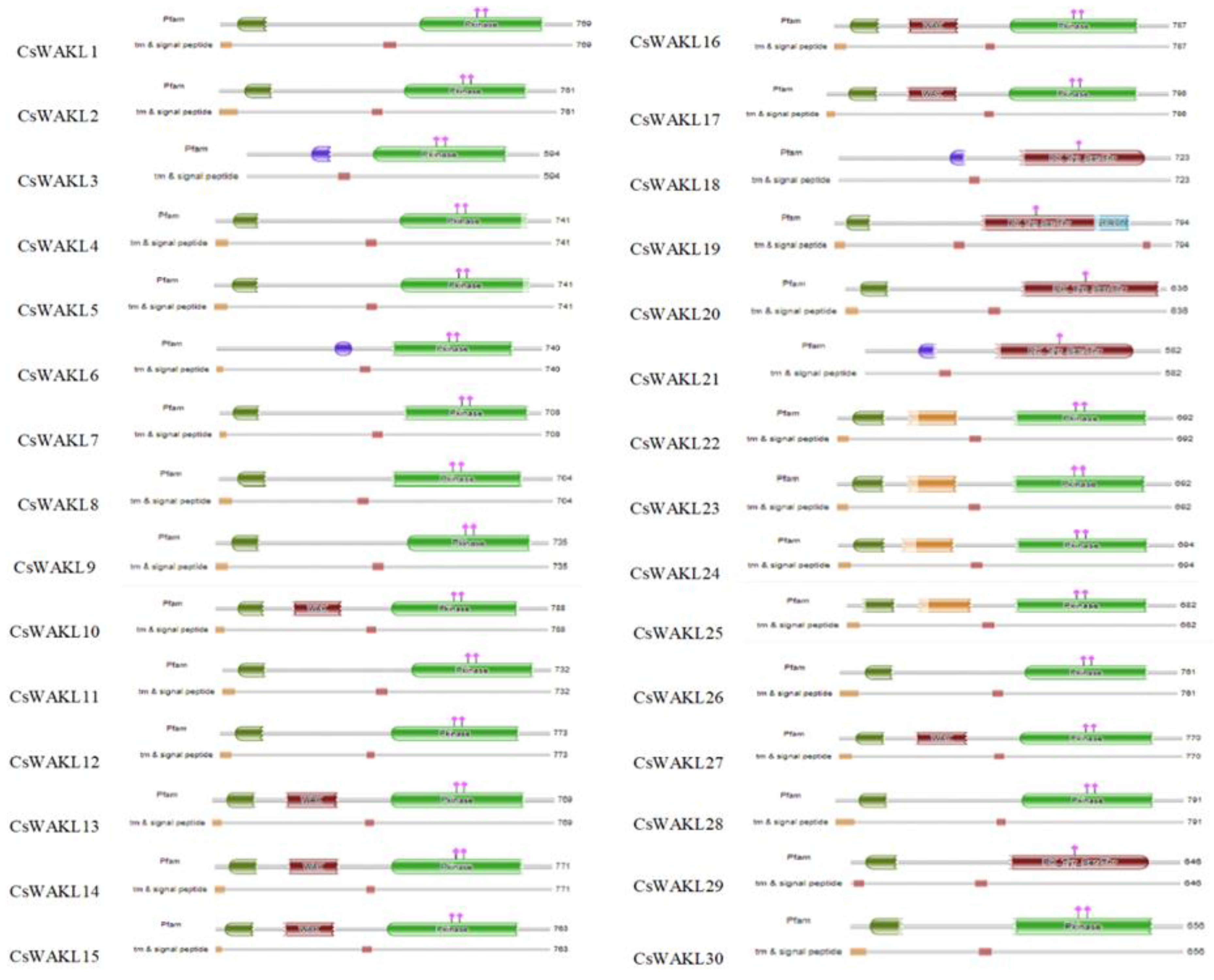 Plants 11 02703 g001b