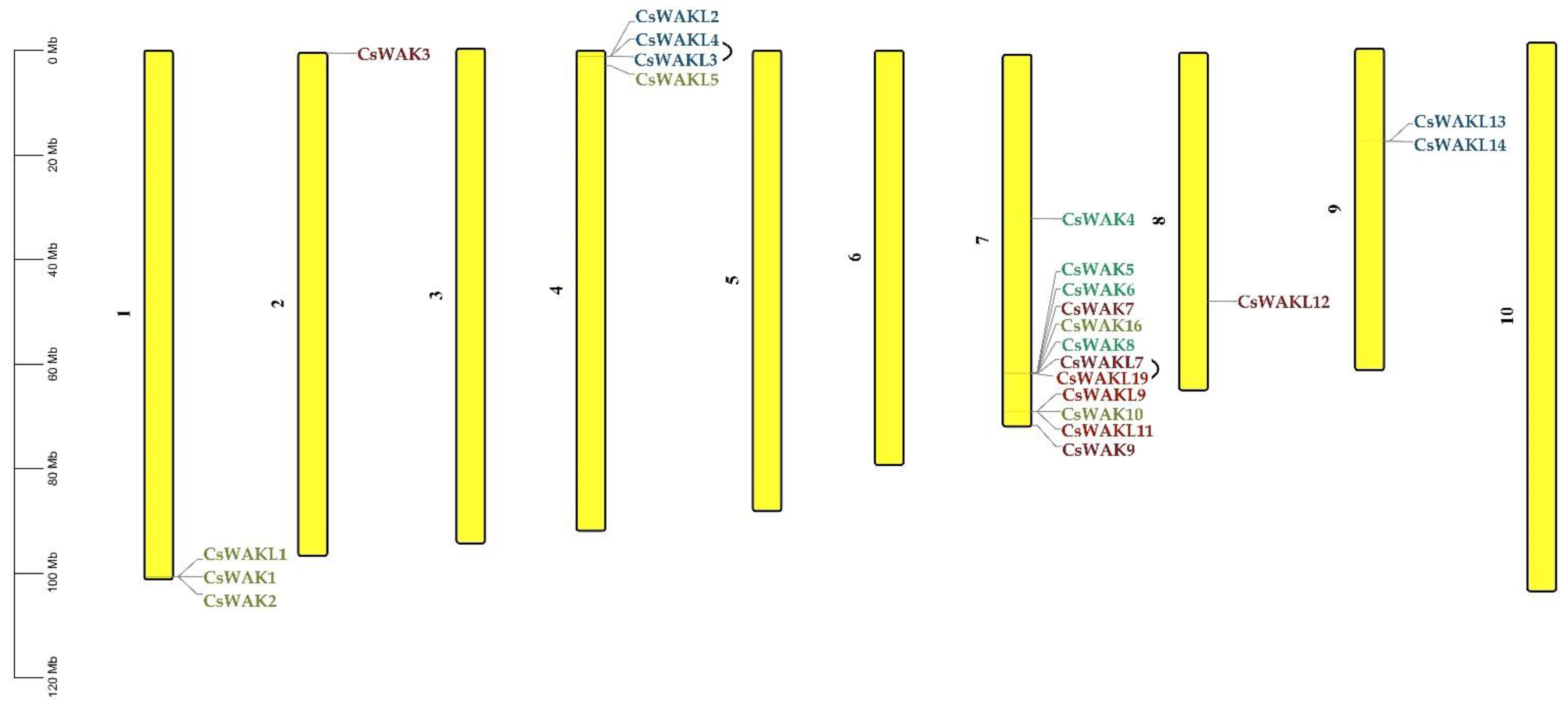 Plants 11 02703 g004