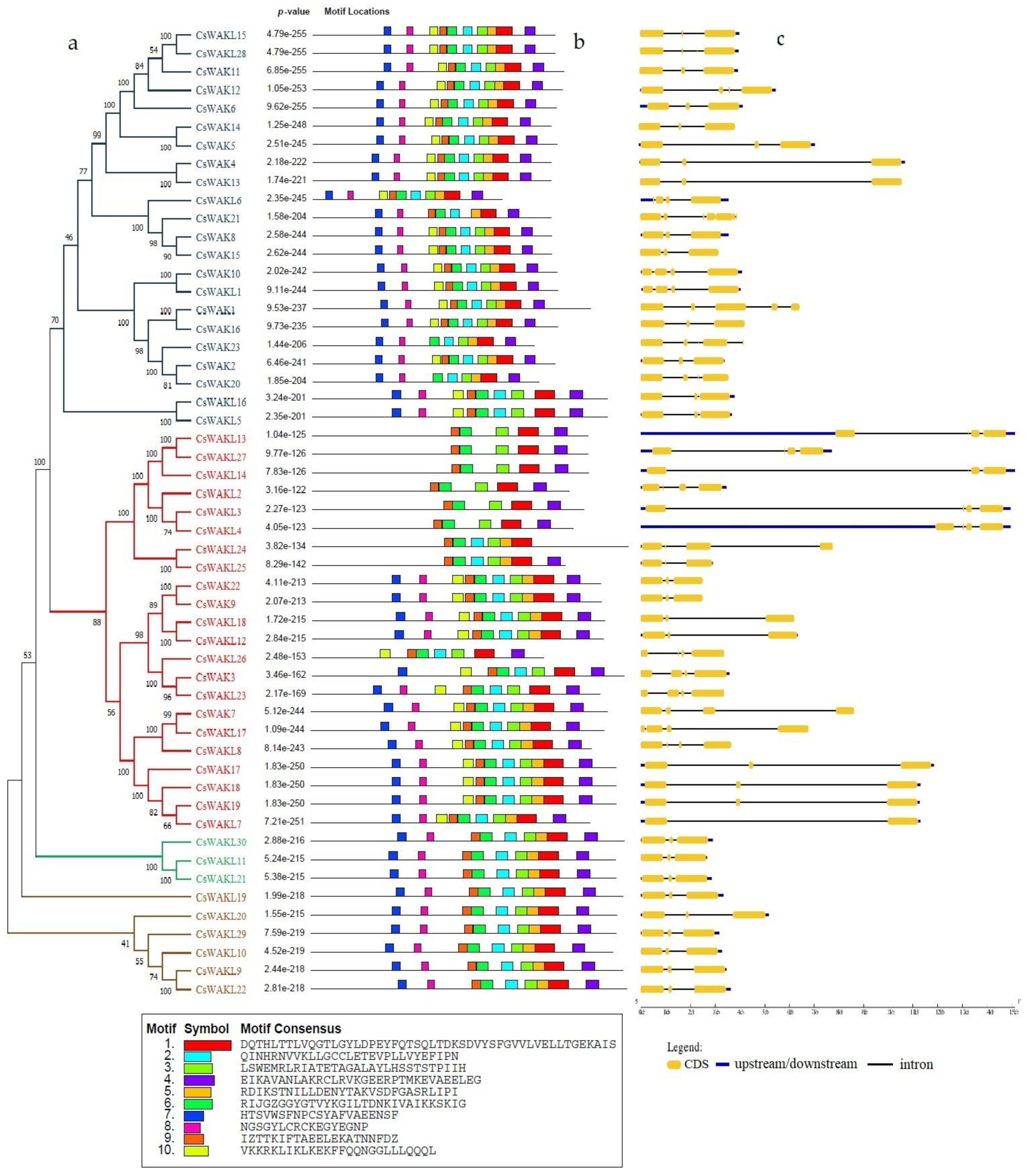 Plants 11 02703 g006