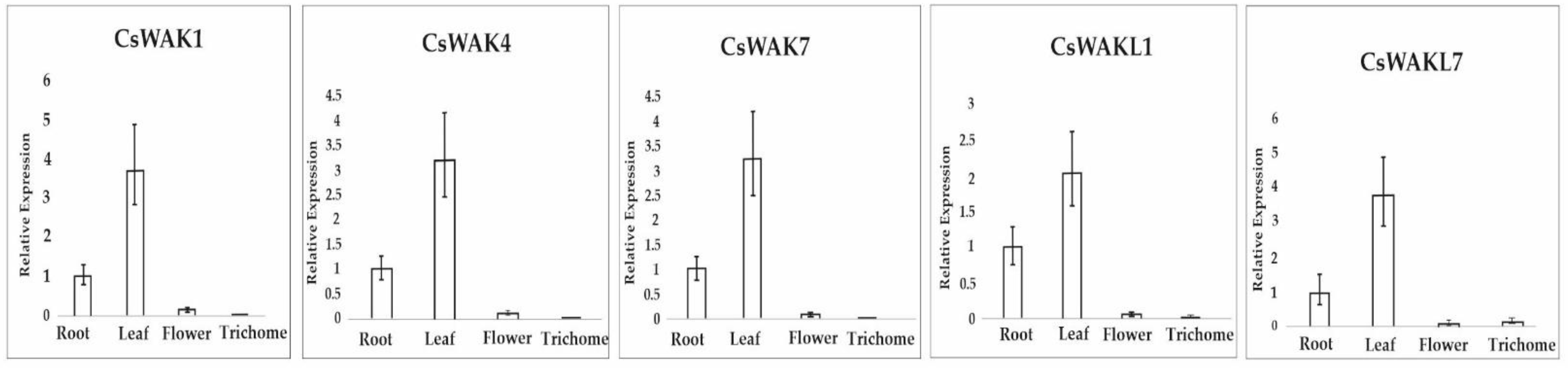 Plants 11 02703 g008