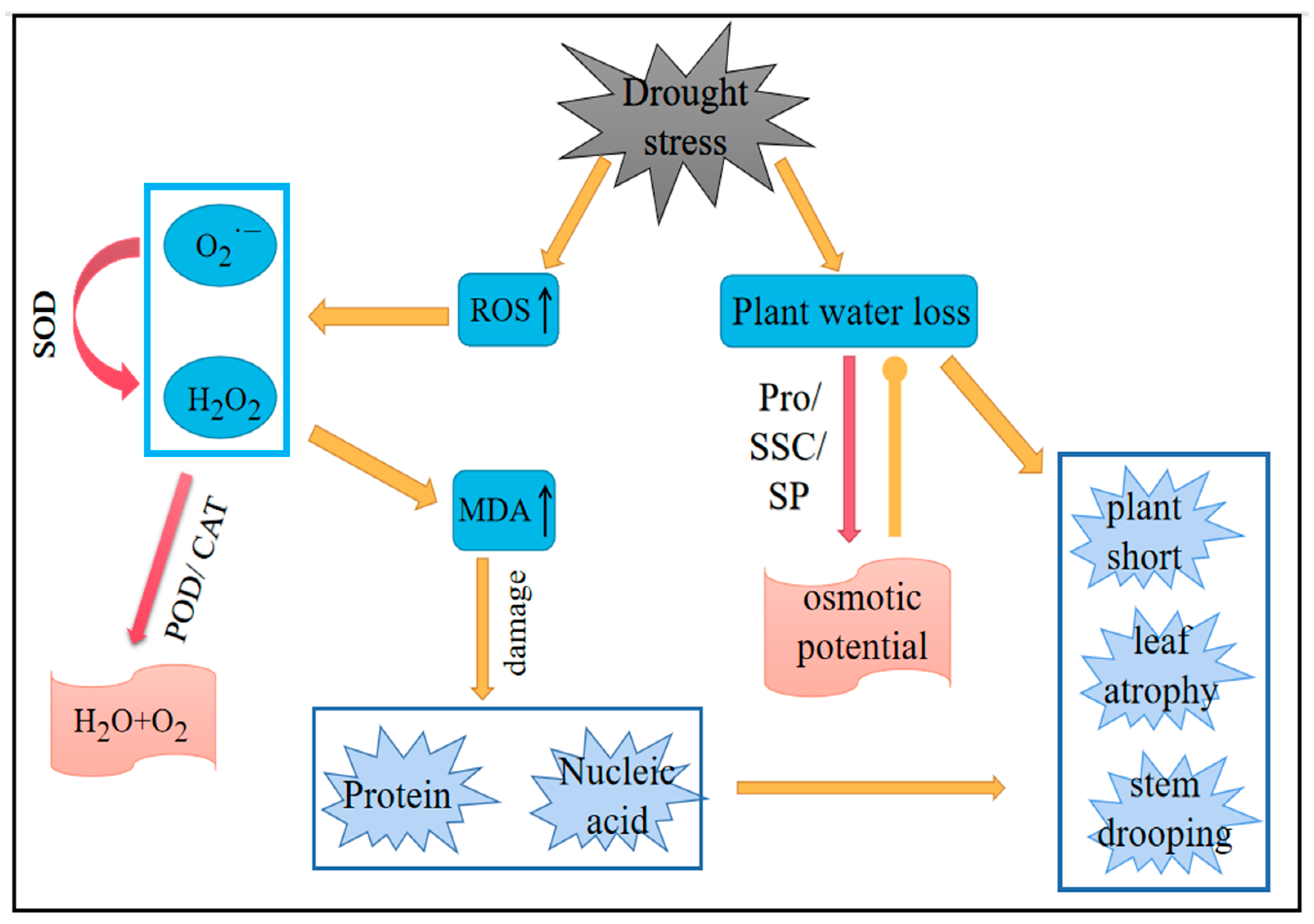 Plants 11 02708 g015