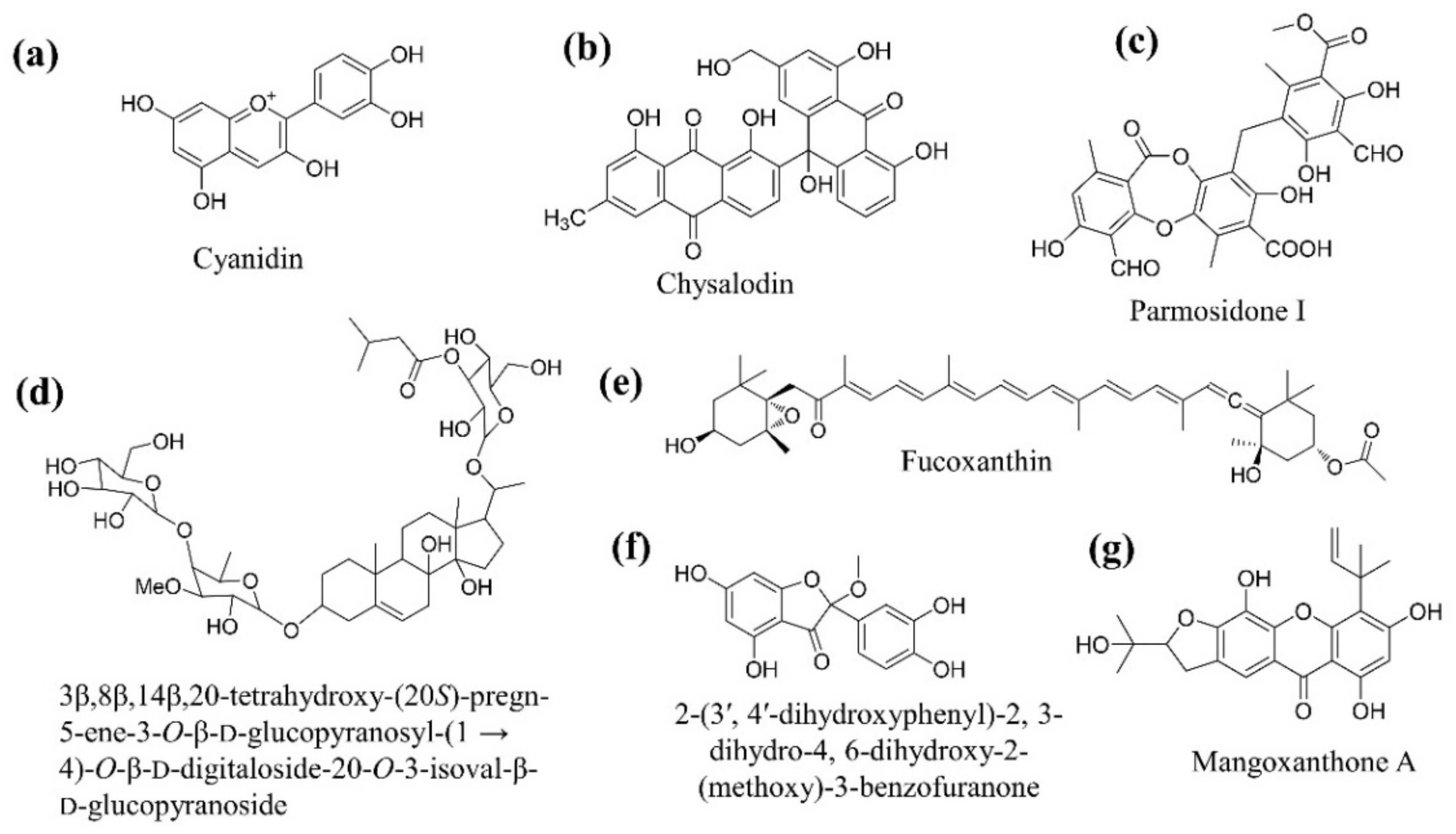 Plants 11 02722 g008
