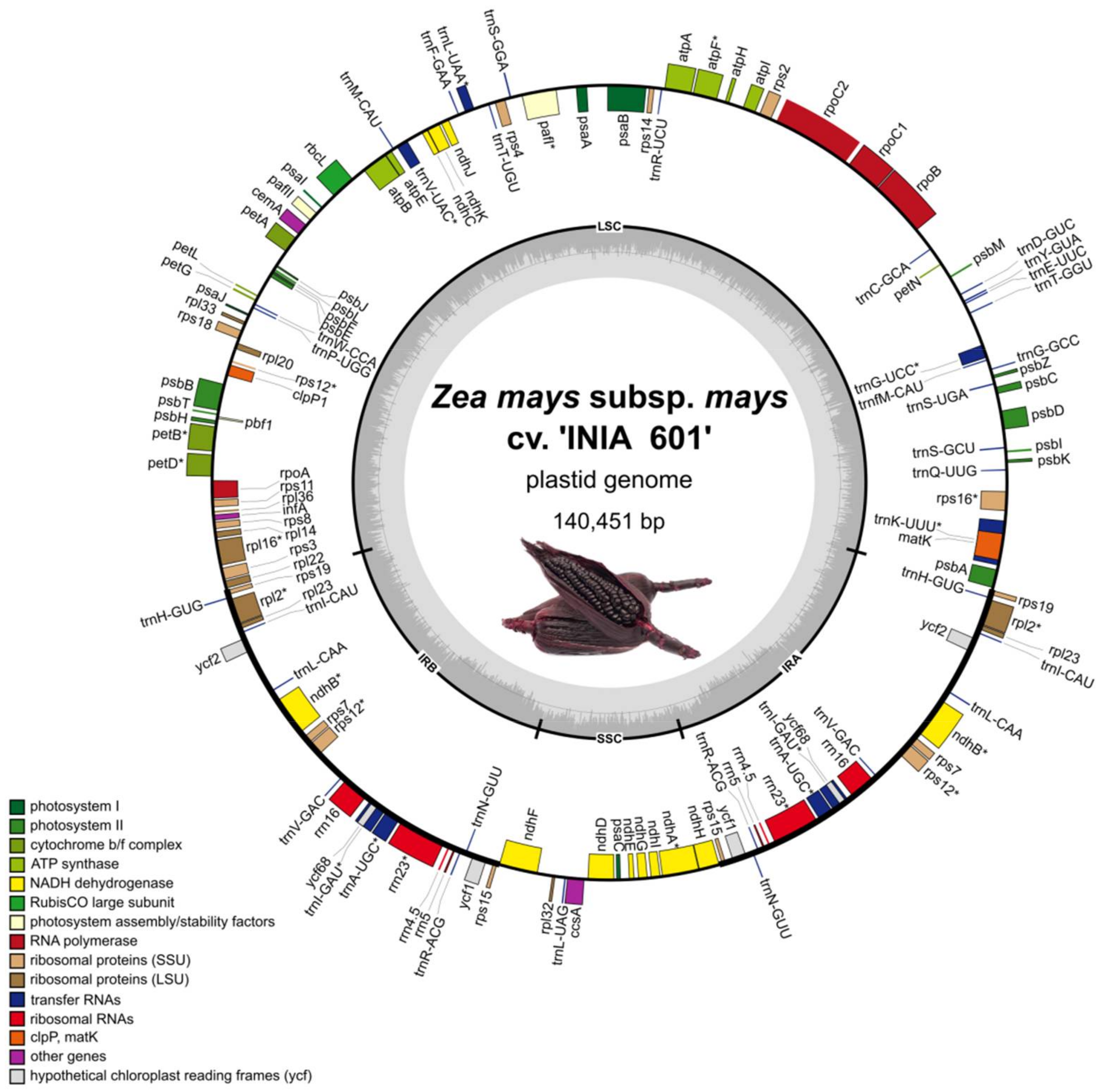 Plants 11 02727 g001