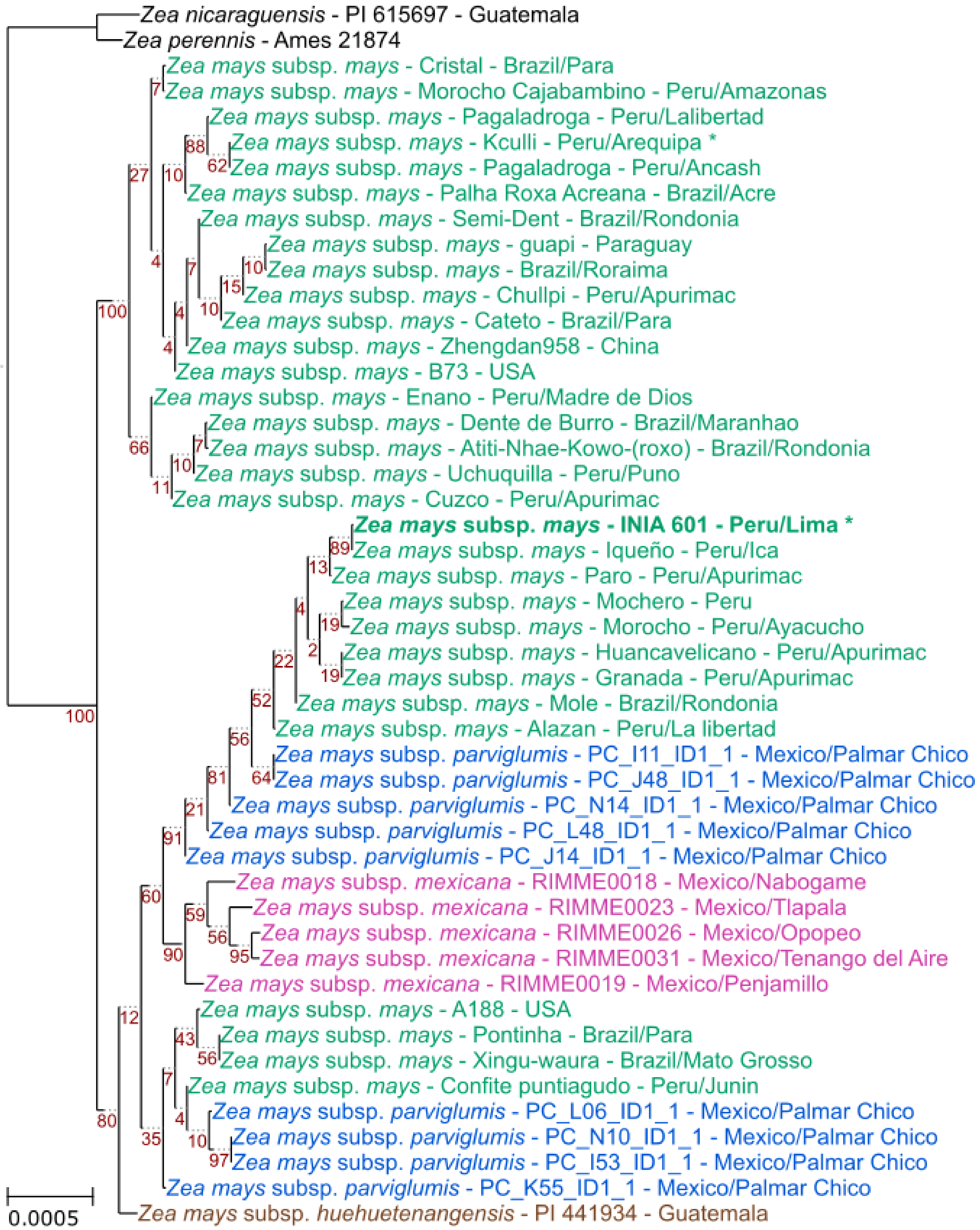Plants 11 02727 g003