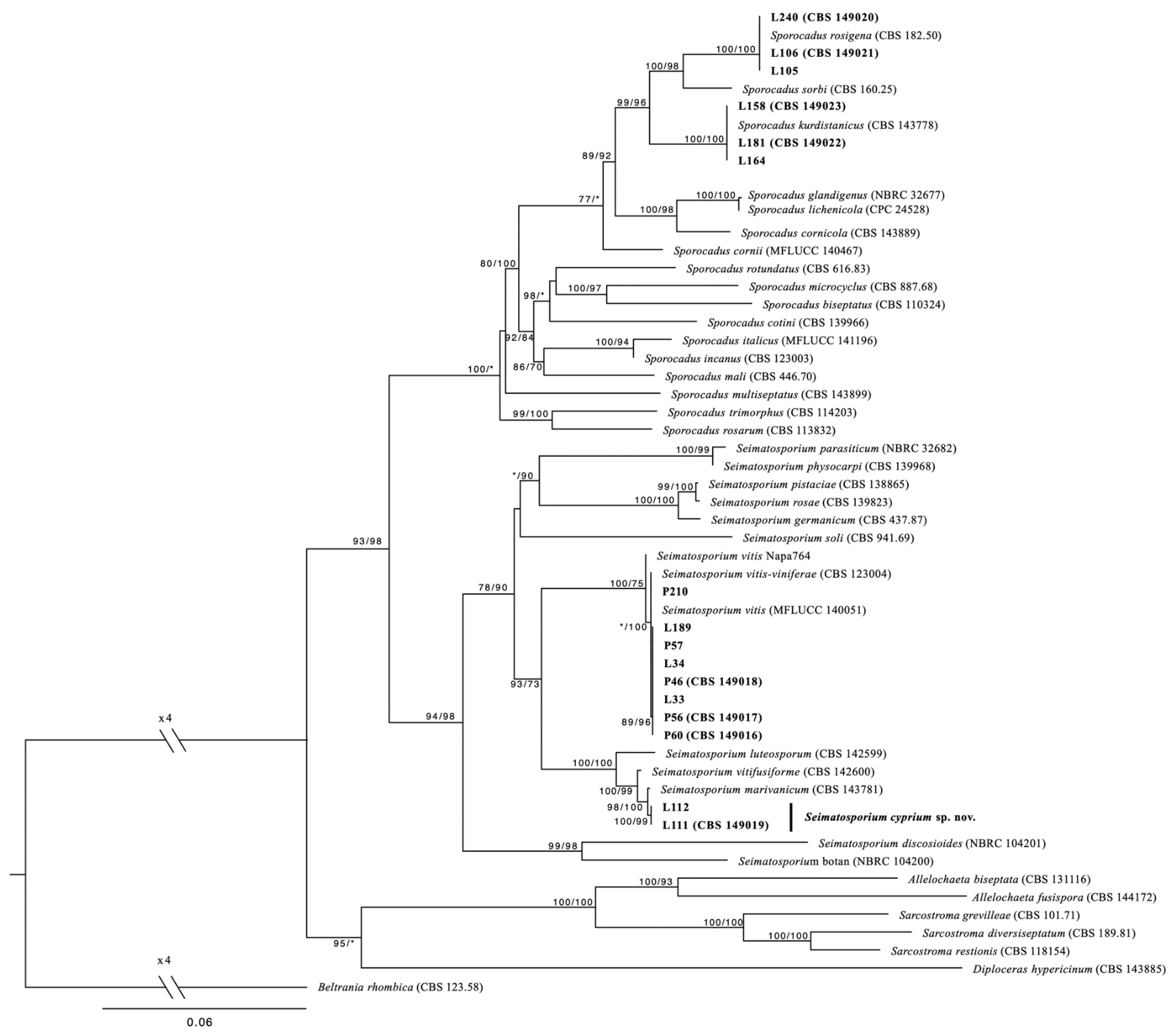 Plants 11 02733 g001