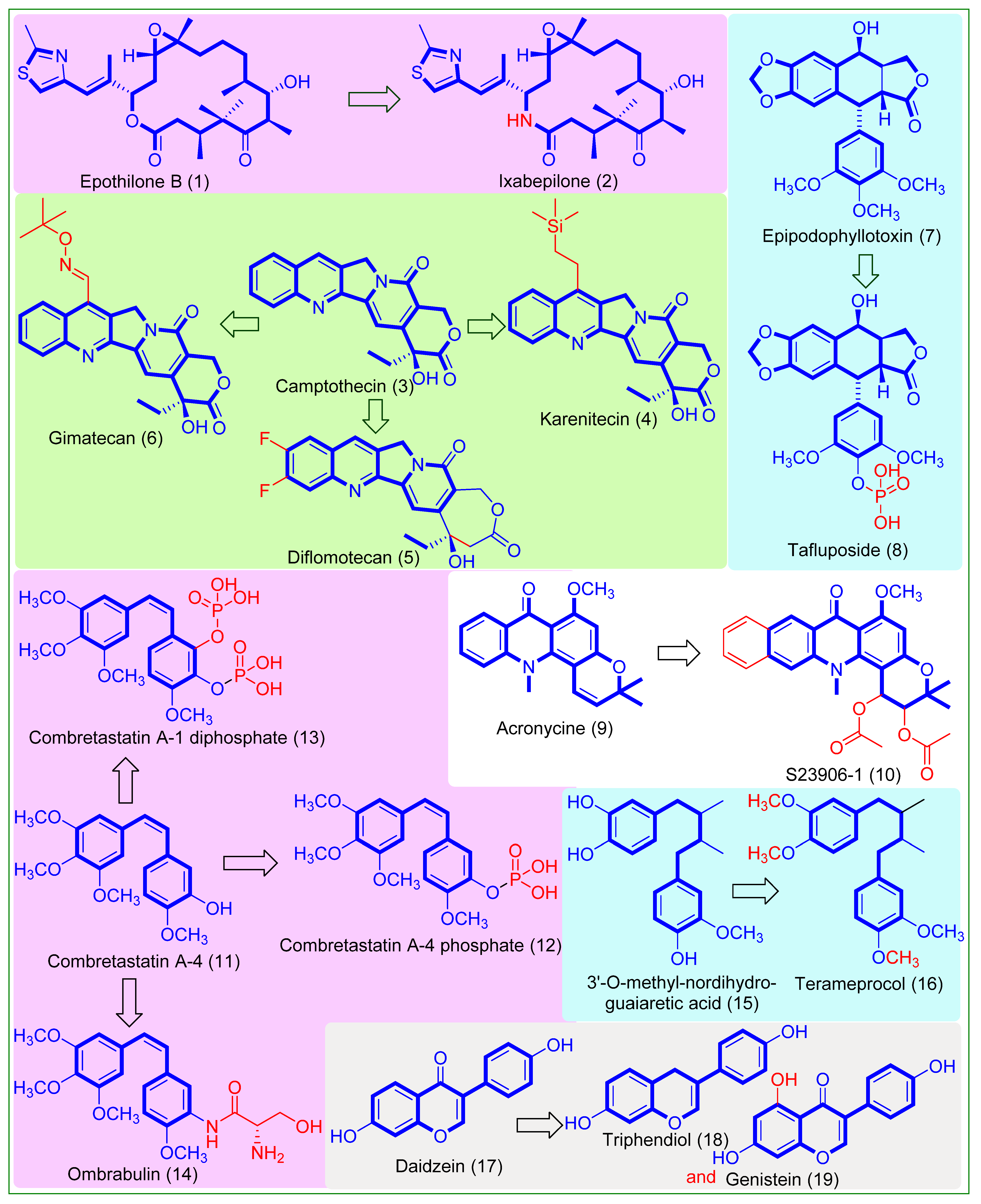 Plants 11 02737 g001