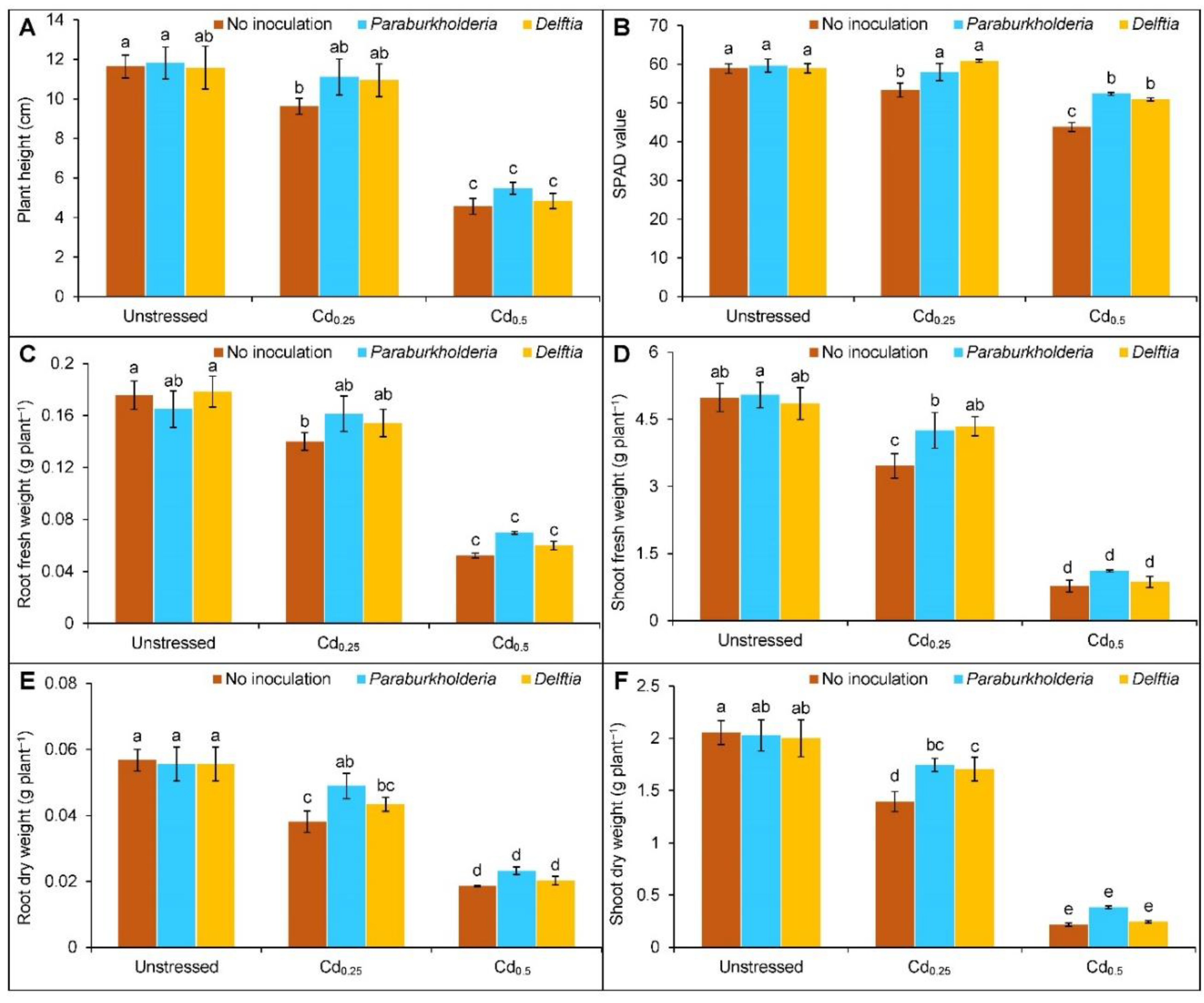 Plants 11 02738 g001