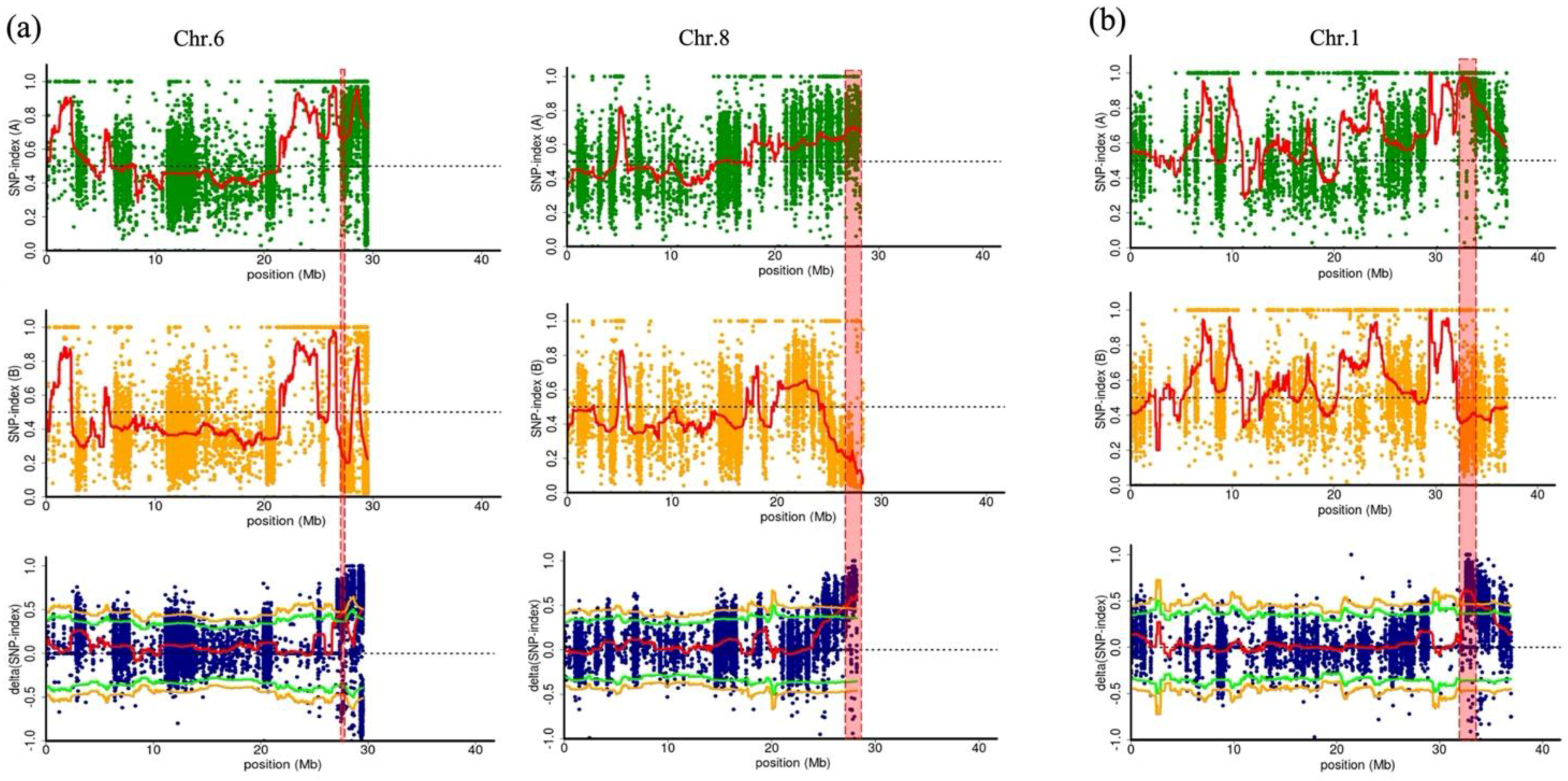 Plants 11 02739 g002