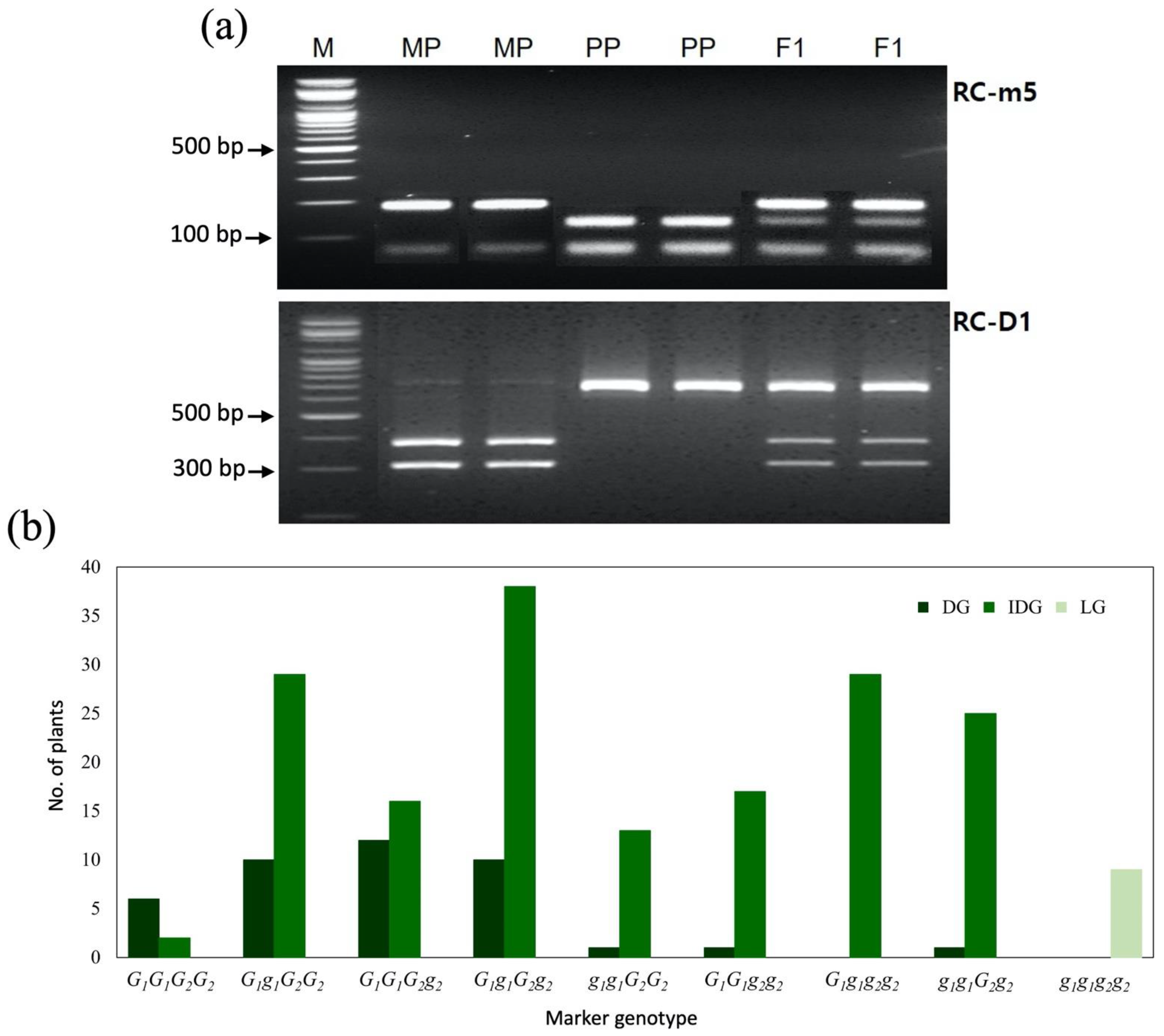 Plants 11 02739 g003