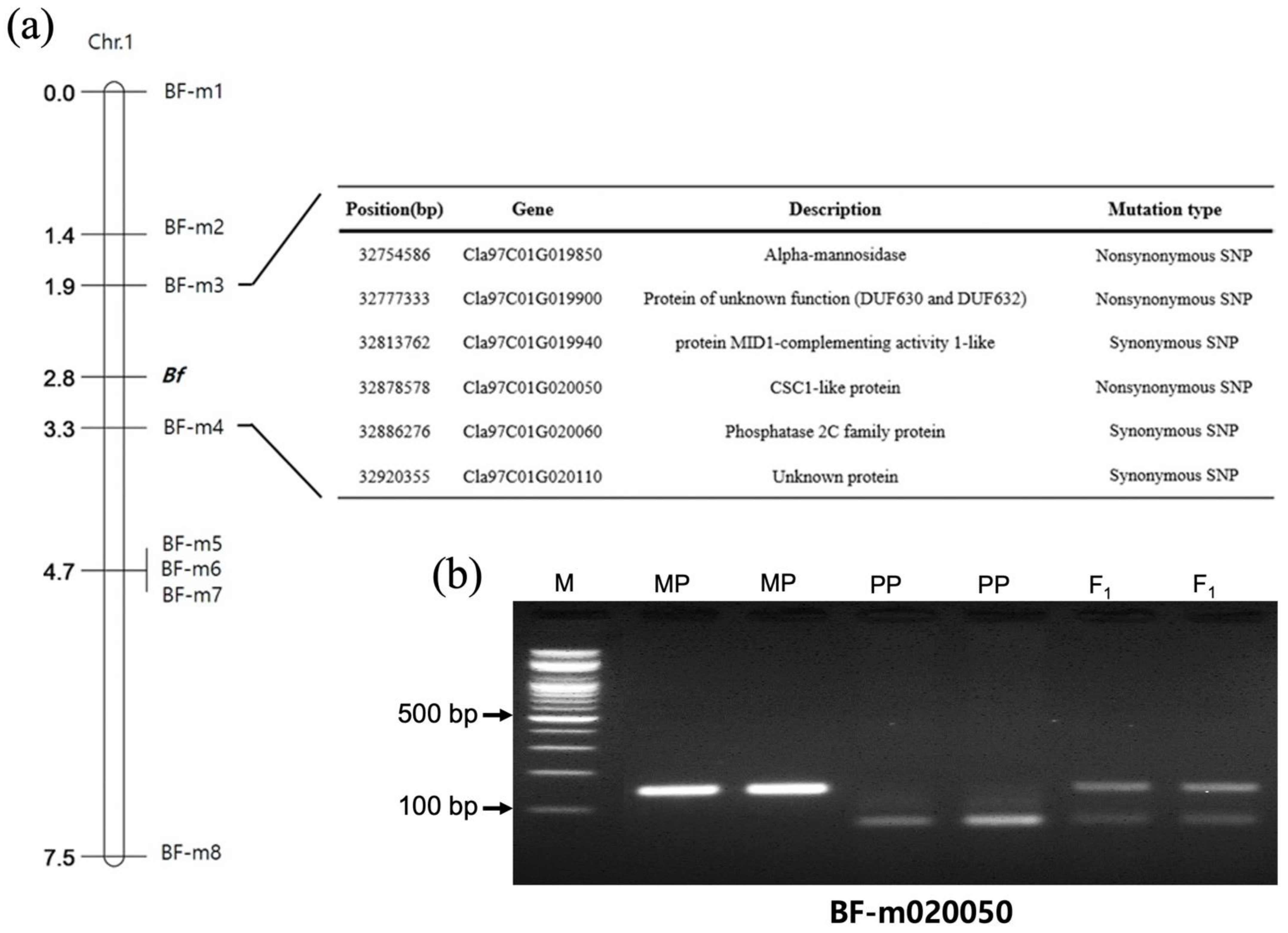 Plants 11 02739 g004