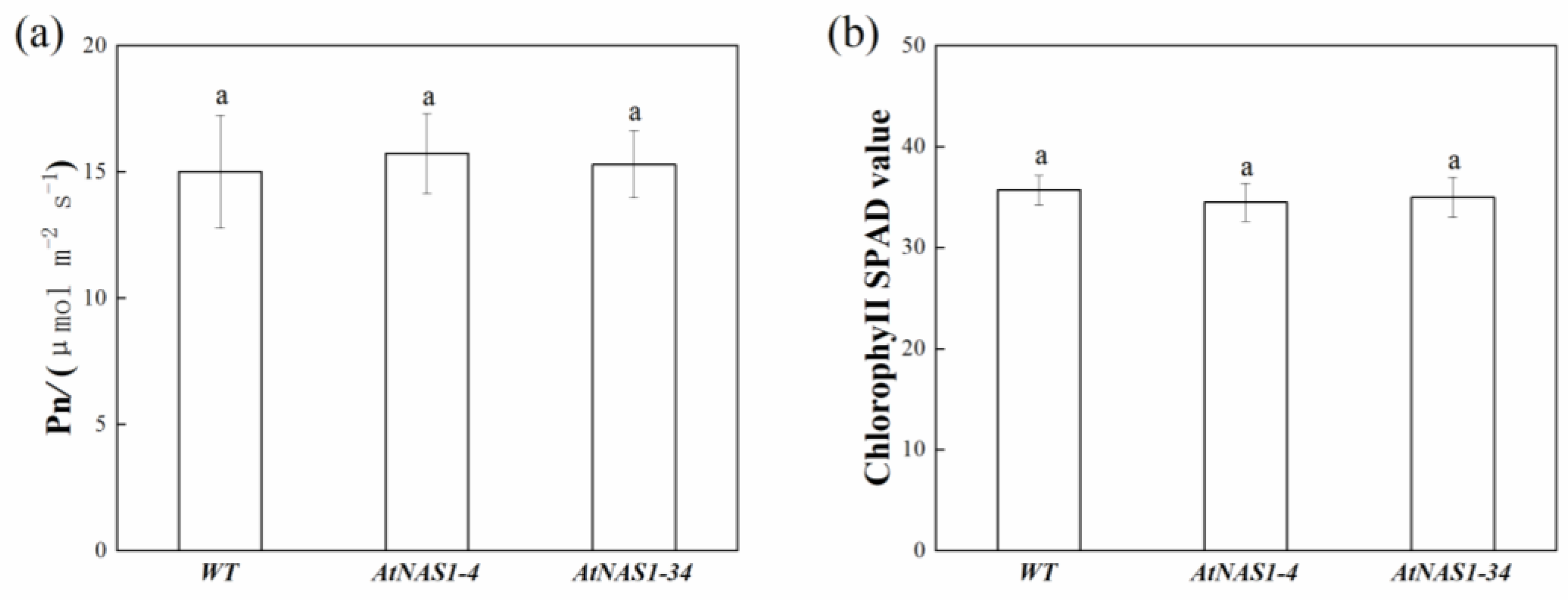 Plants 11 02741 g004 Plants 11 02741 g004