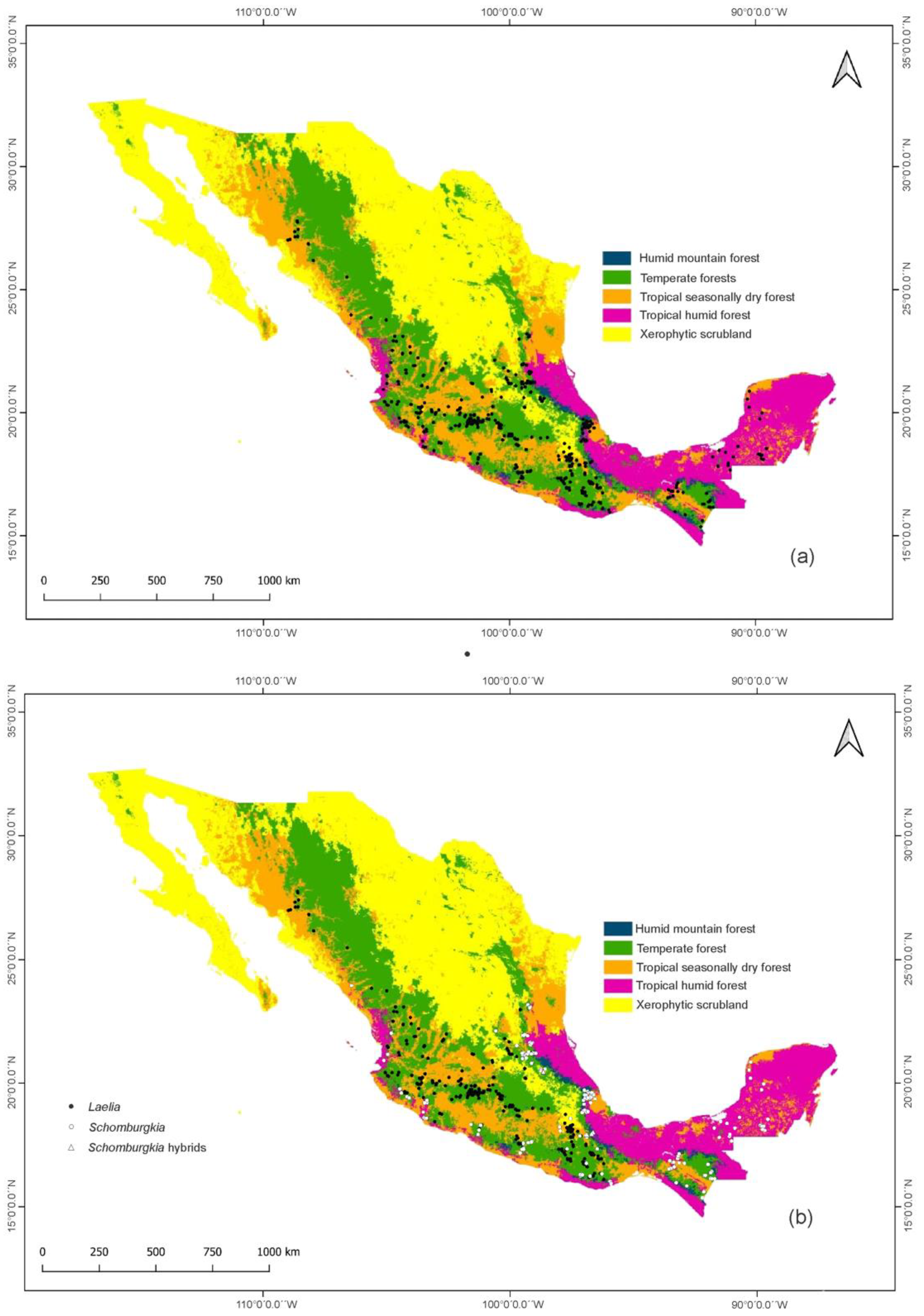 Plants 11 02742 g002 Plants 11 02742 g002