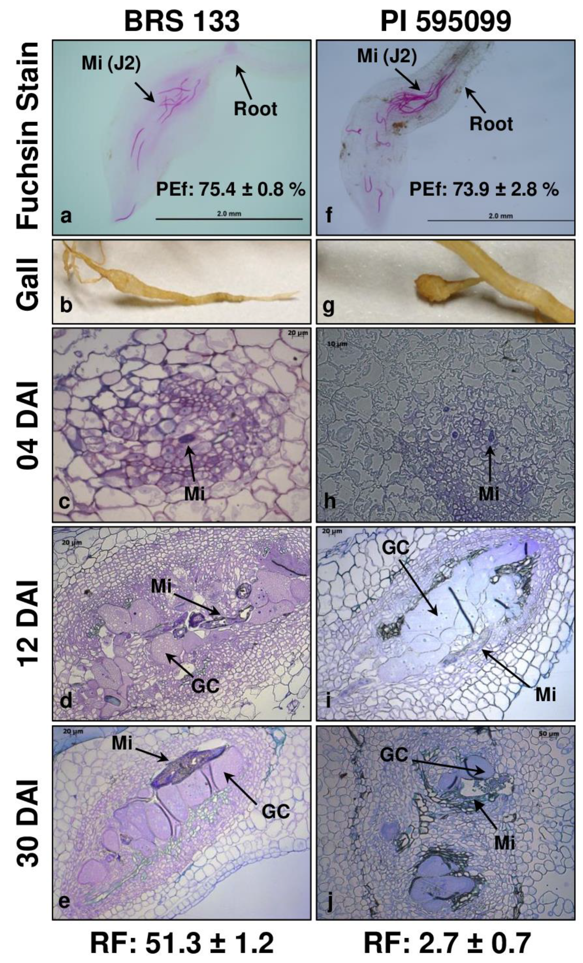 Plants 11 02744 g001 Plants 11 02744 g001