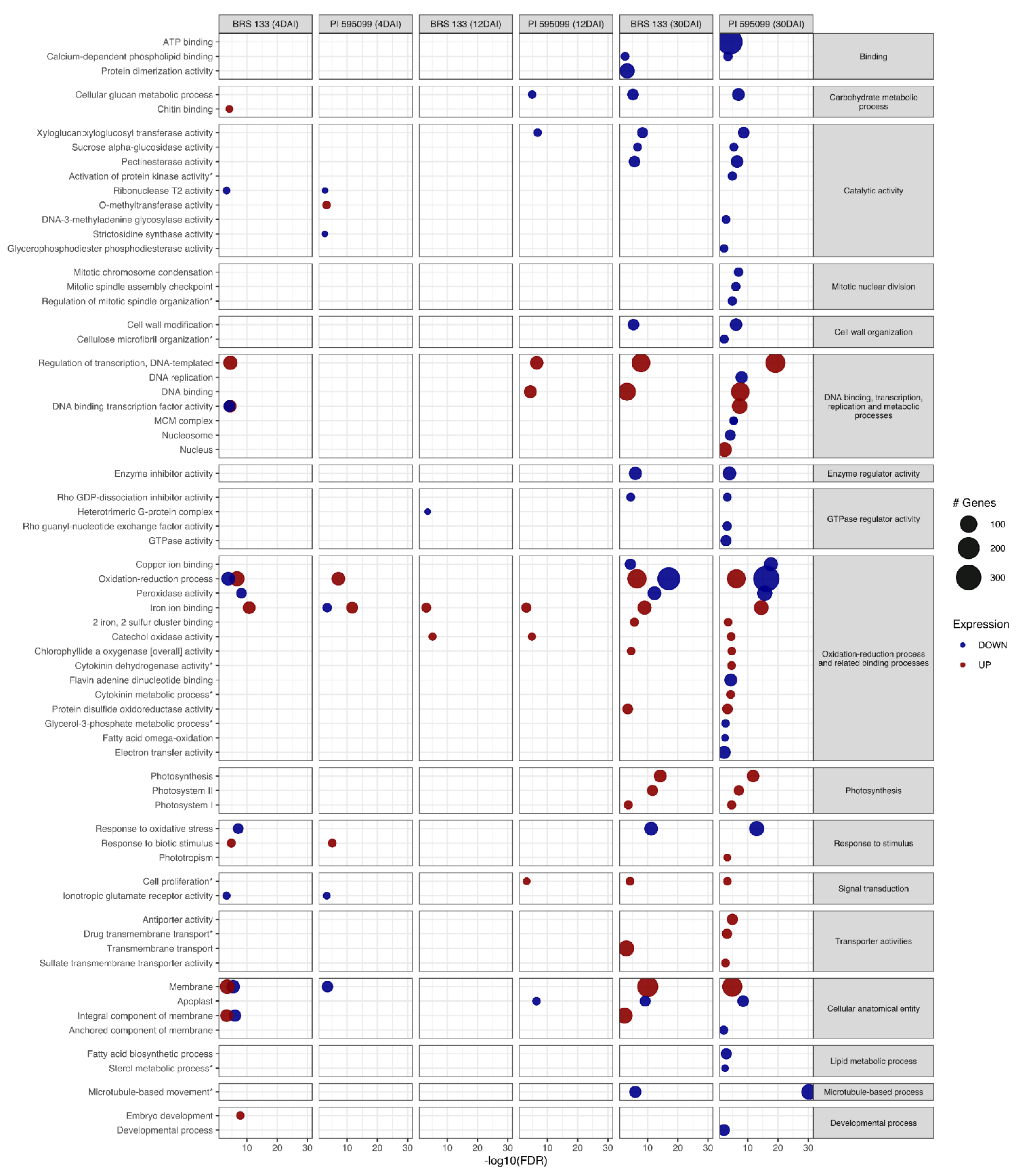 Plants 11 02744 g002 Plants 11 02744 g002