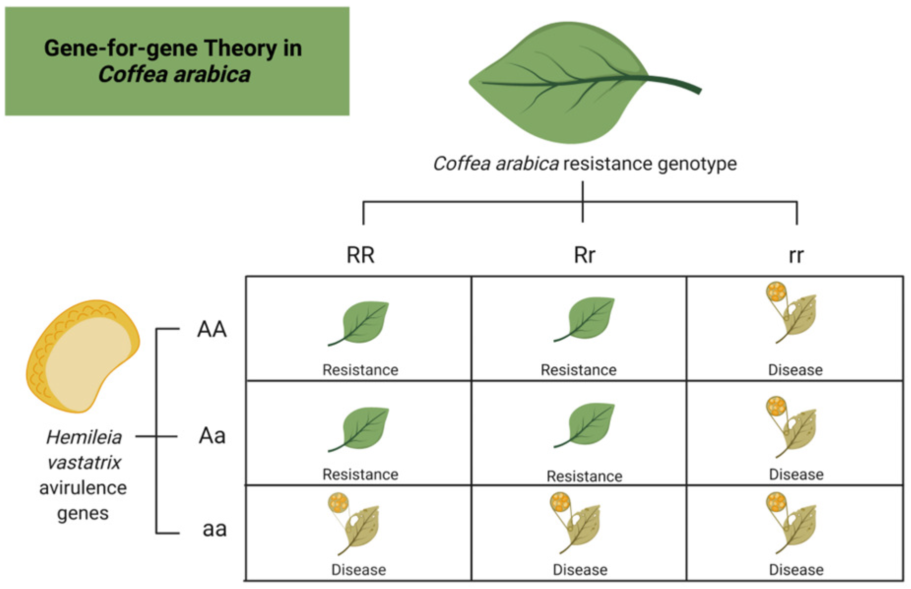 Plants 11 02745 g002