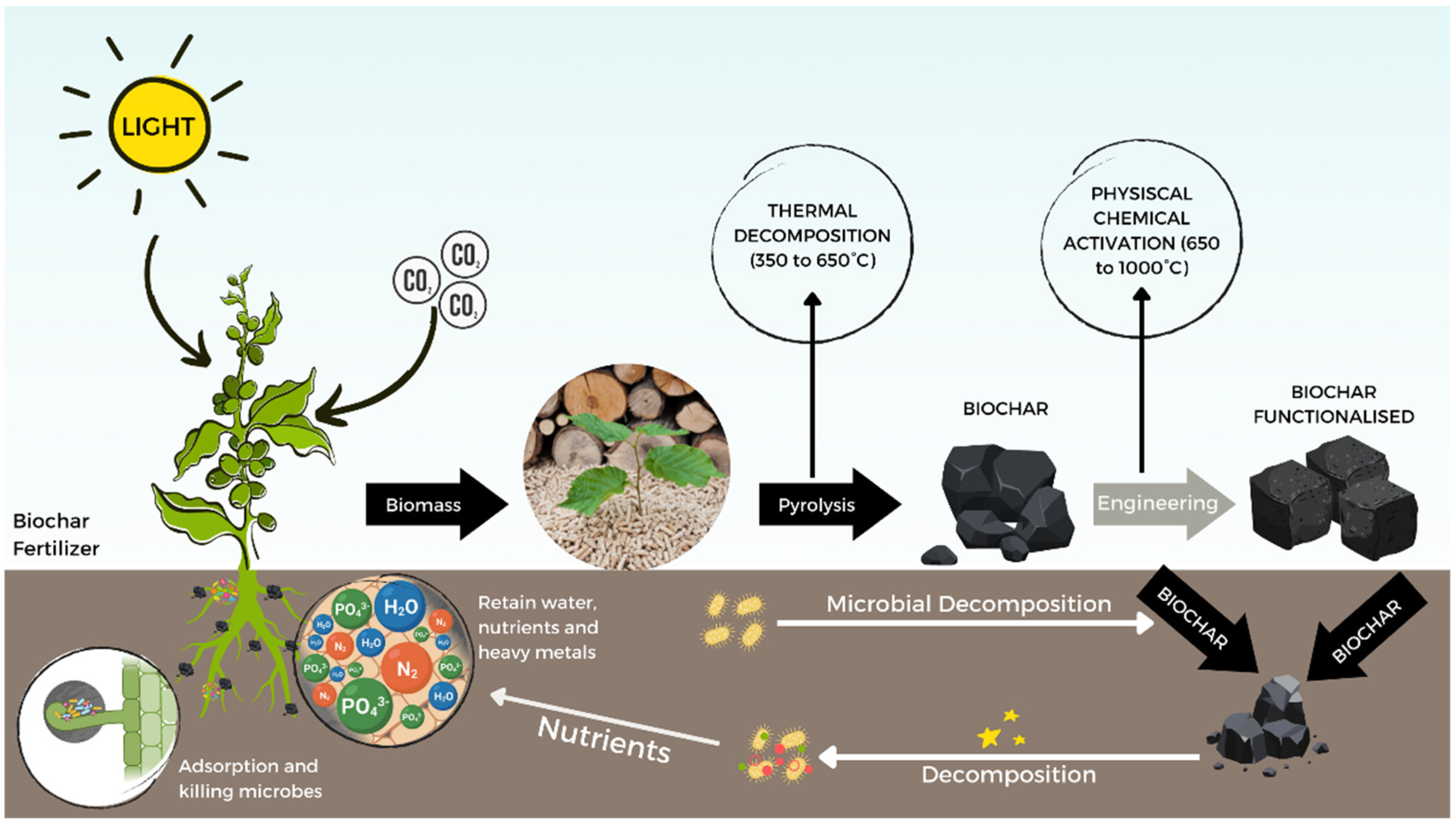 Plants 11 02745 g004