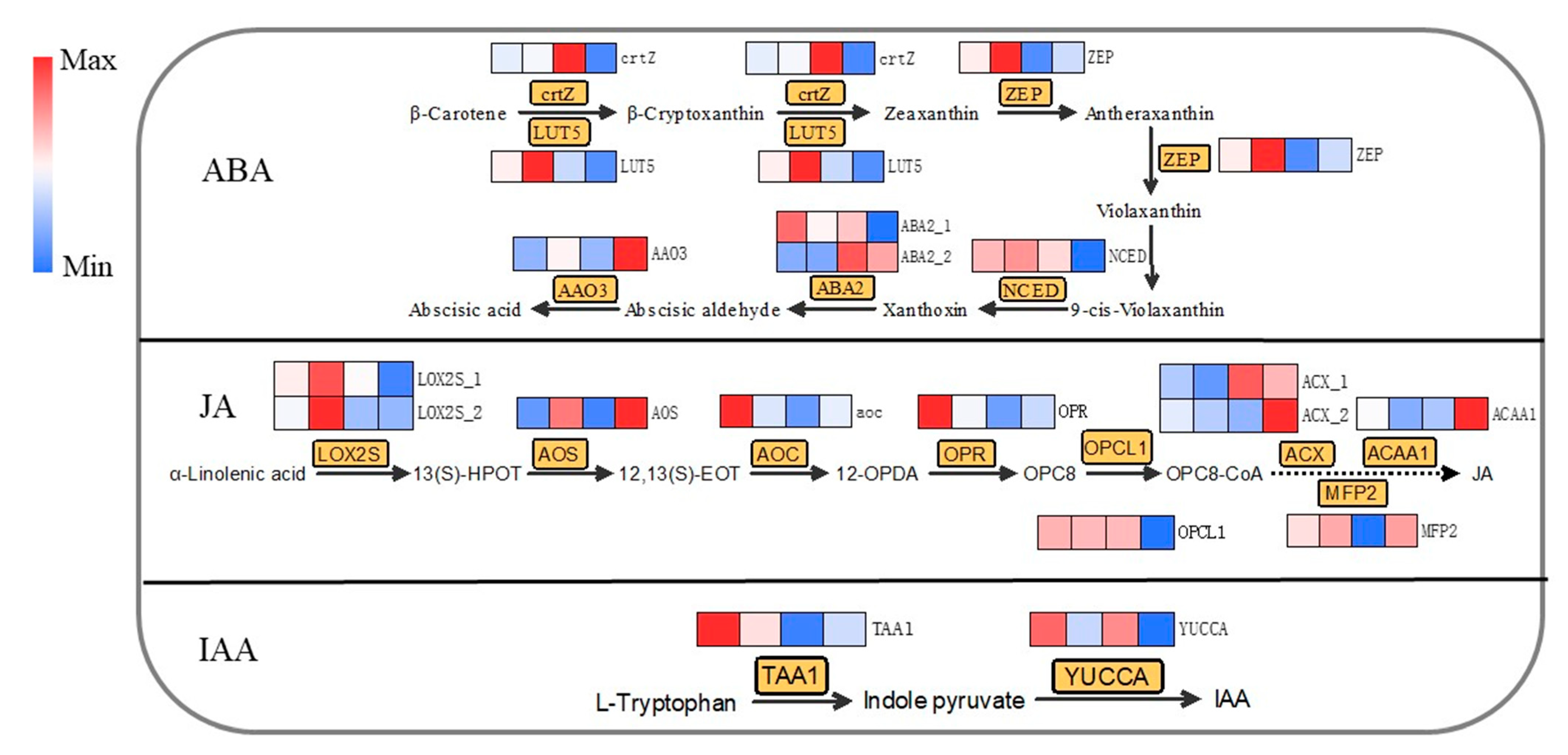 Plants 11 02751 g006