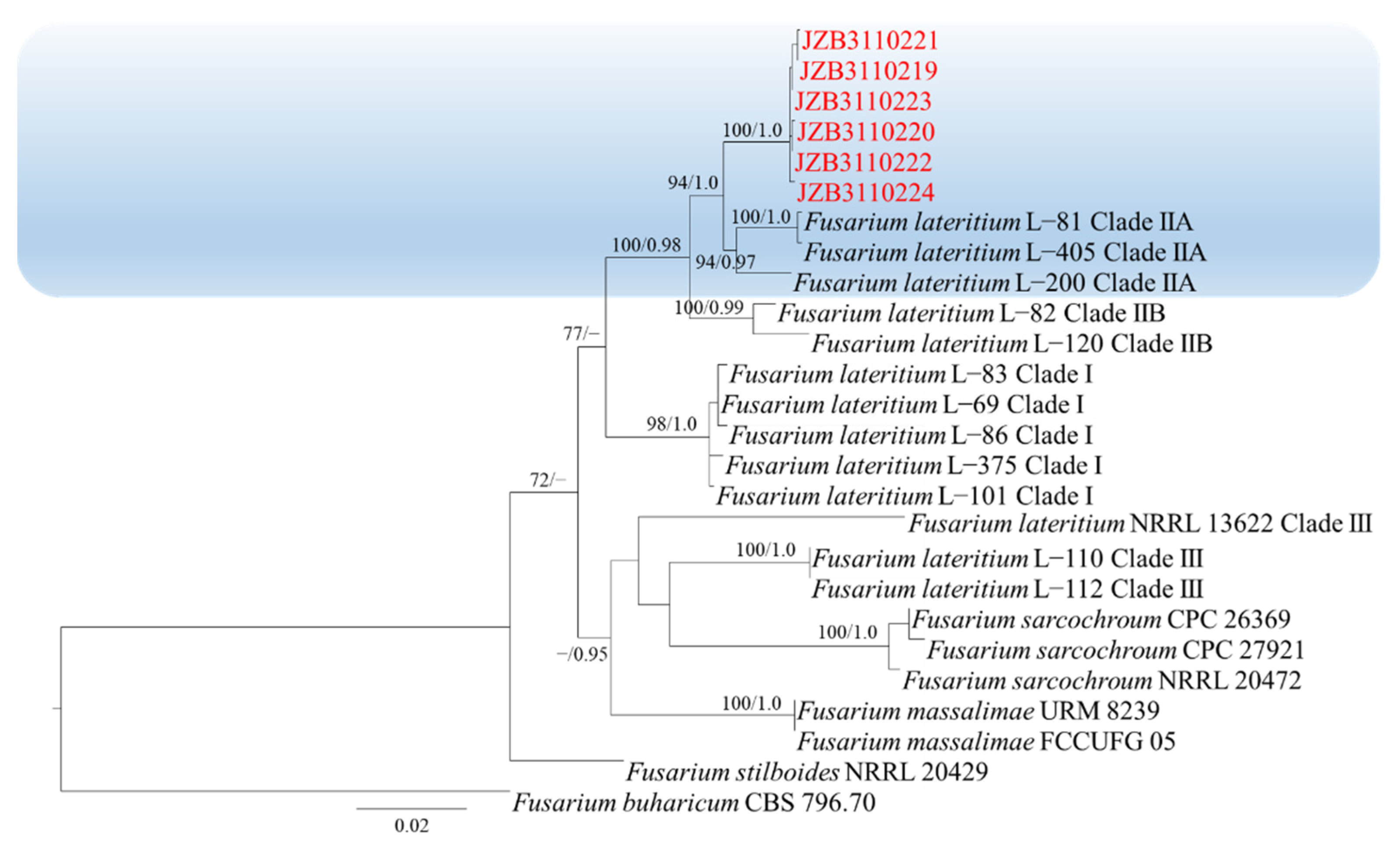 Plants 11 02760 g003