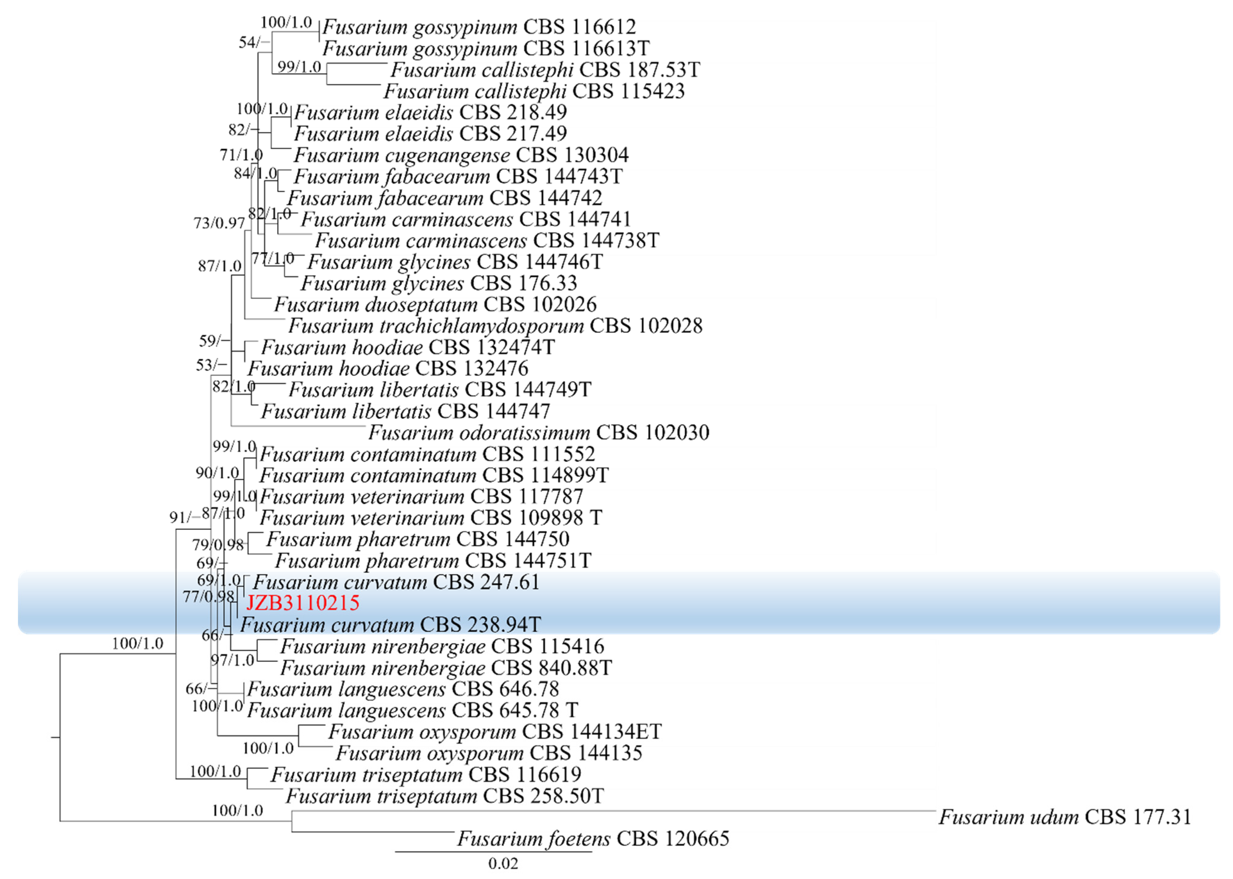 Plants 11 02760 g005