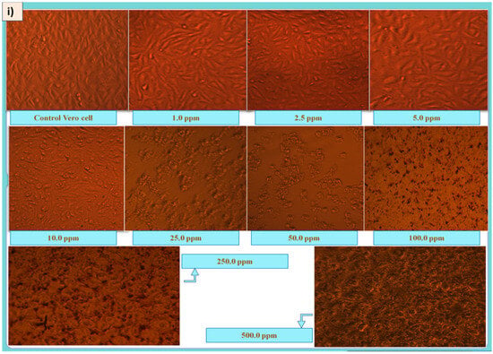 Plants 11 02766 g008a Plants 11 02766 g008a