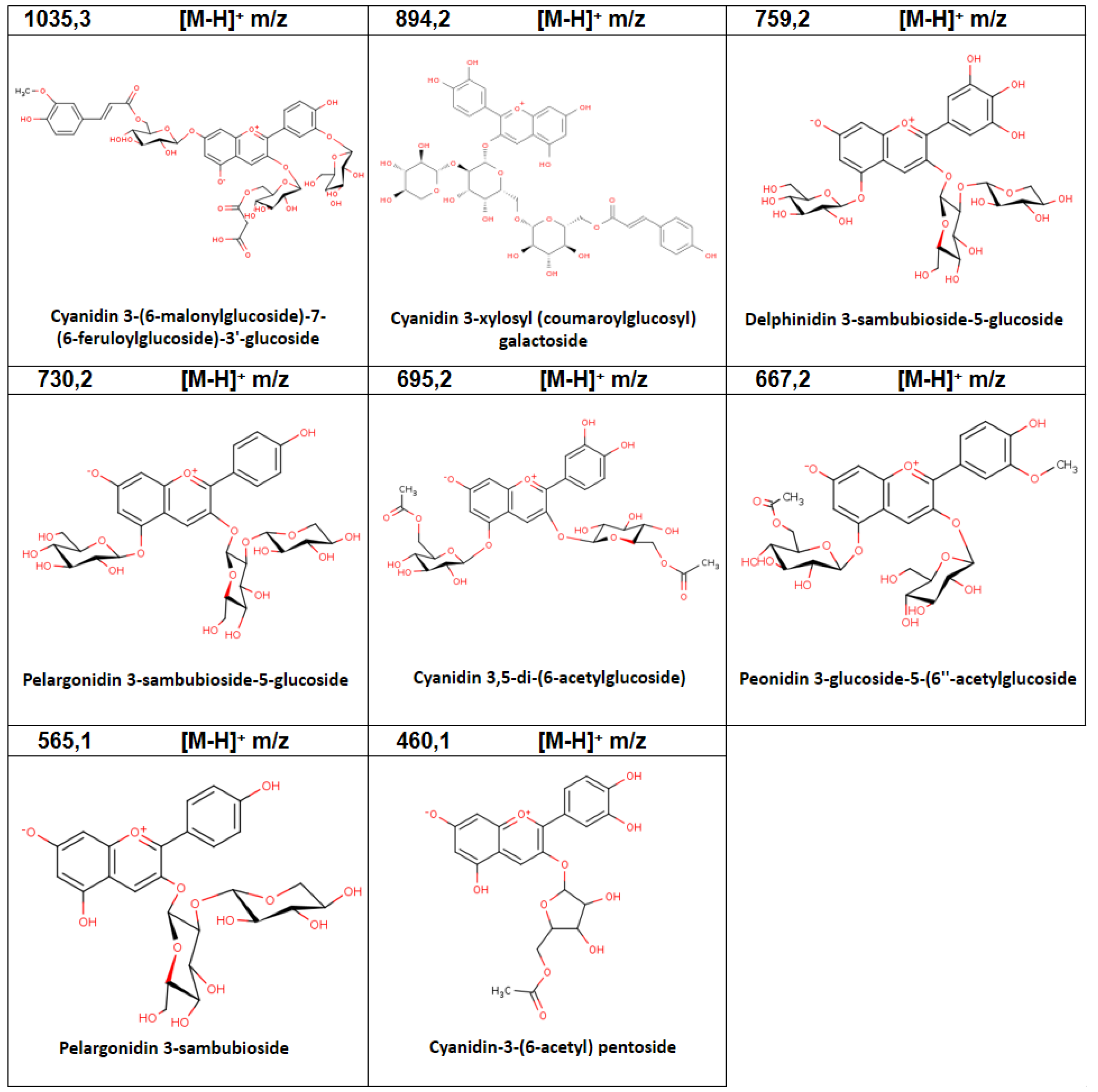 Plants 11 02772 g002