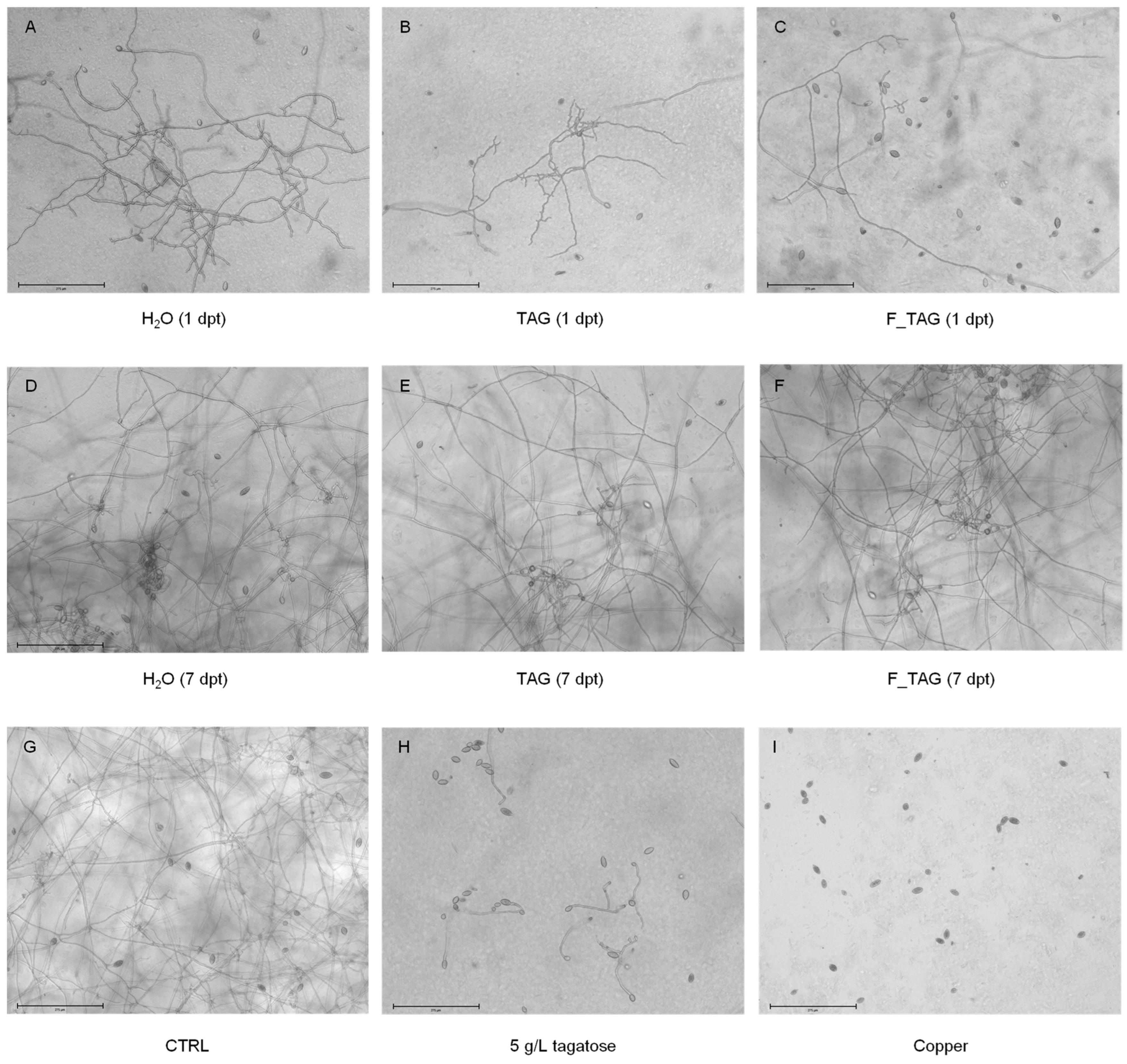 Plants 11 02781 g003