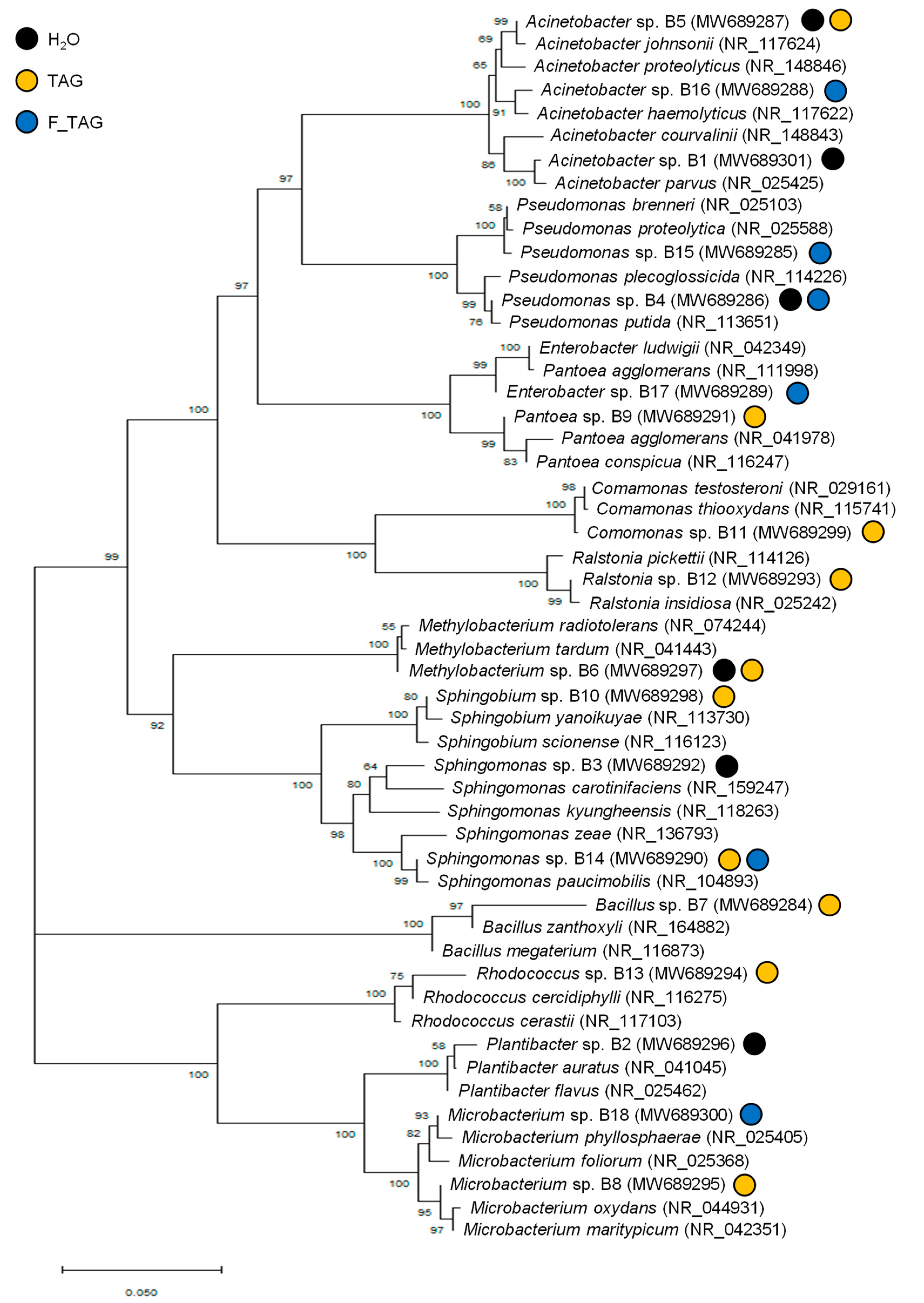 Plants 11 02781 g005