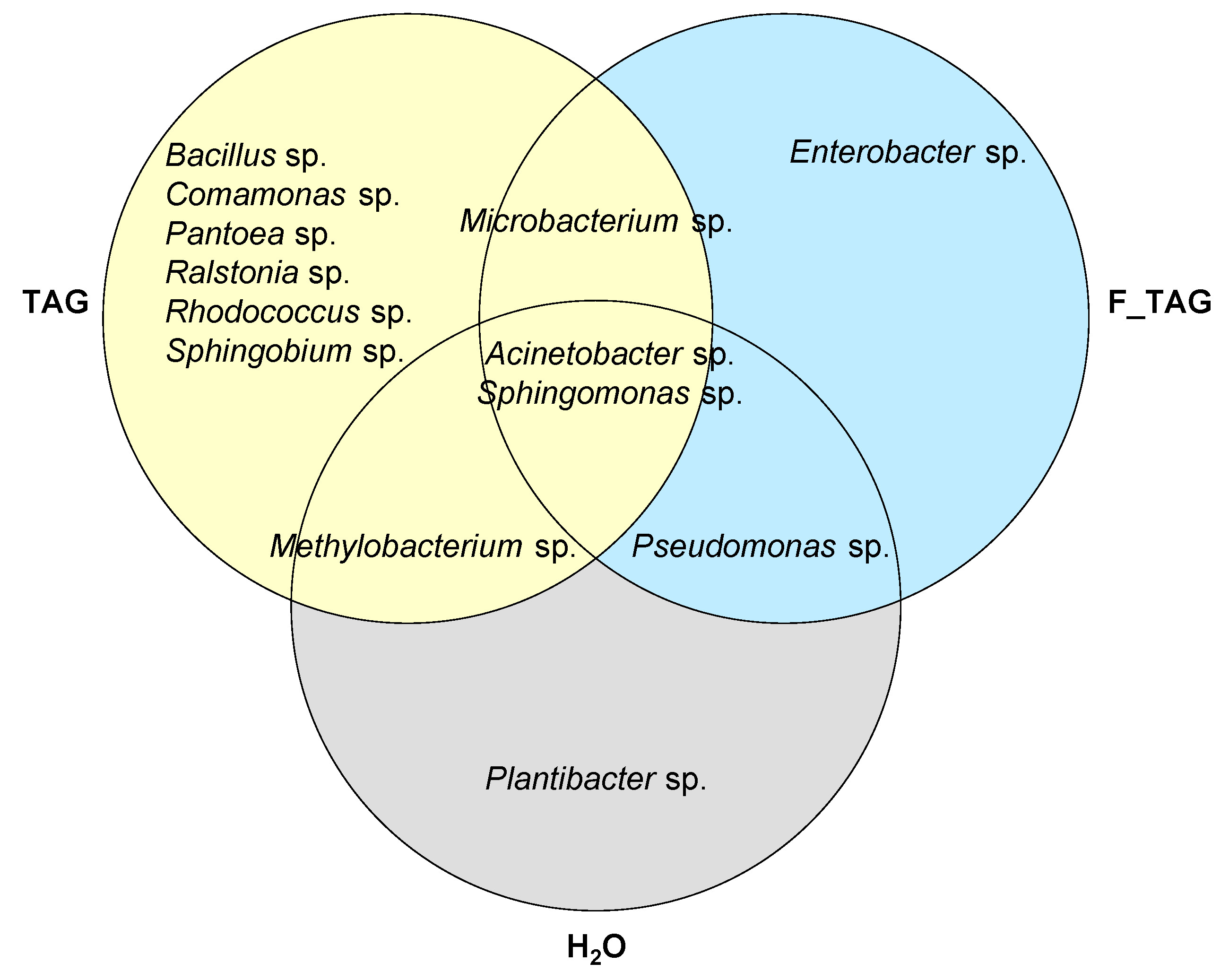 Plants 11 02781 g006