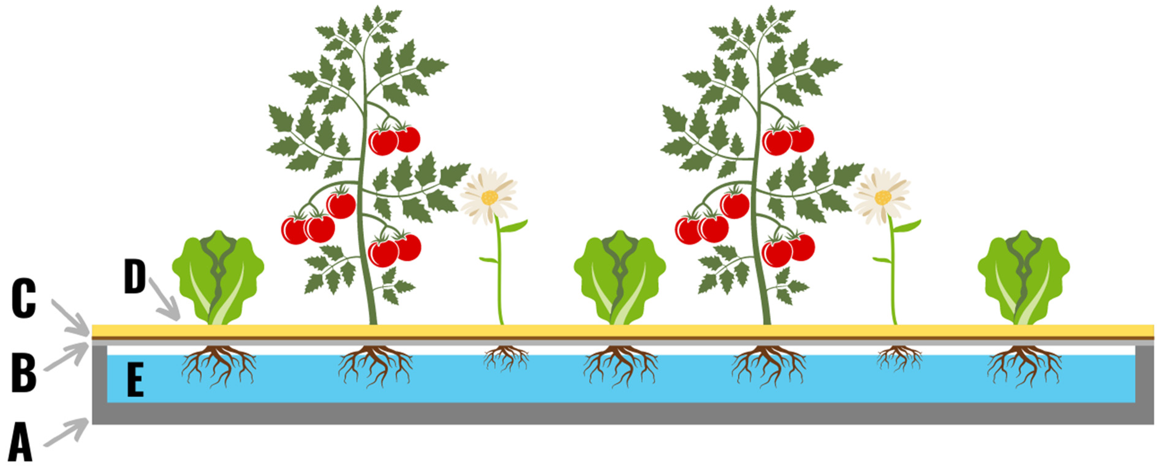 Plants 11 02783 g001