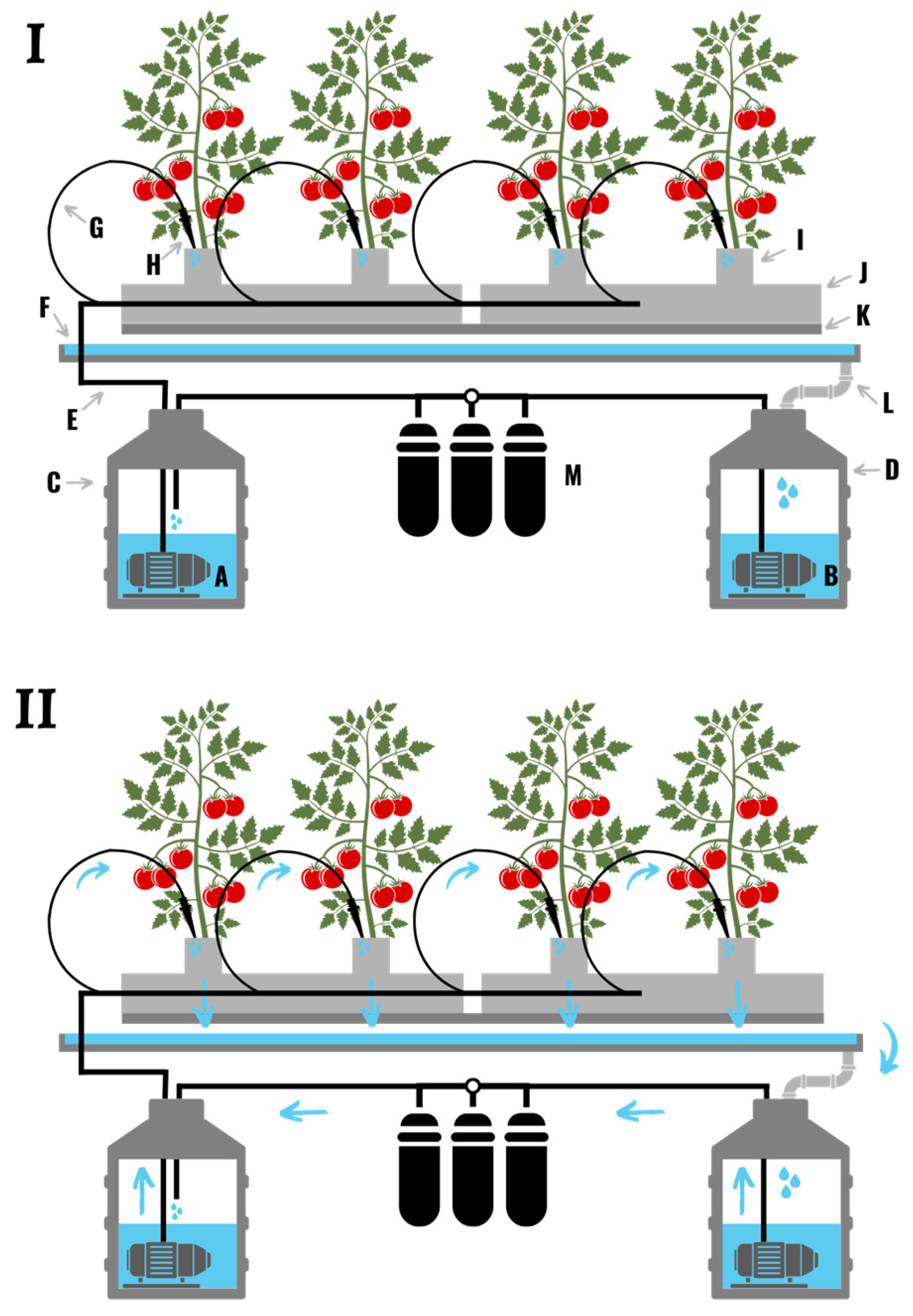 Plants 11 02783 g004