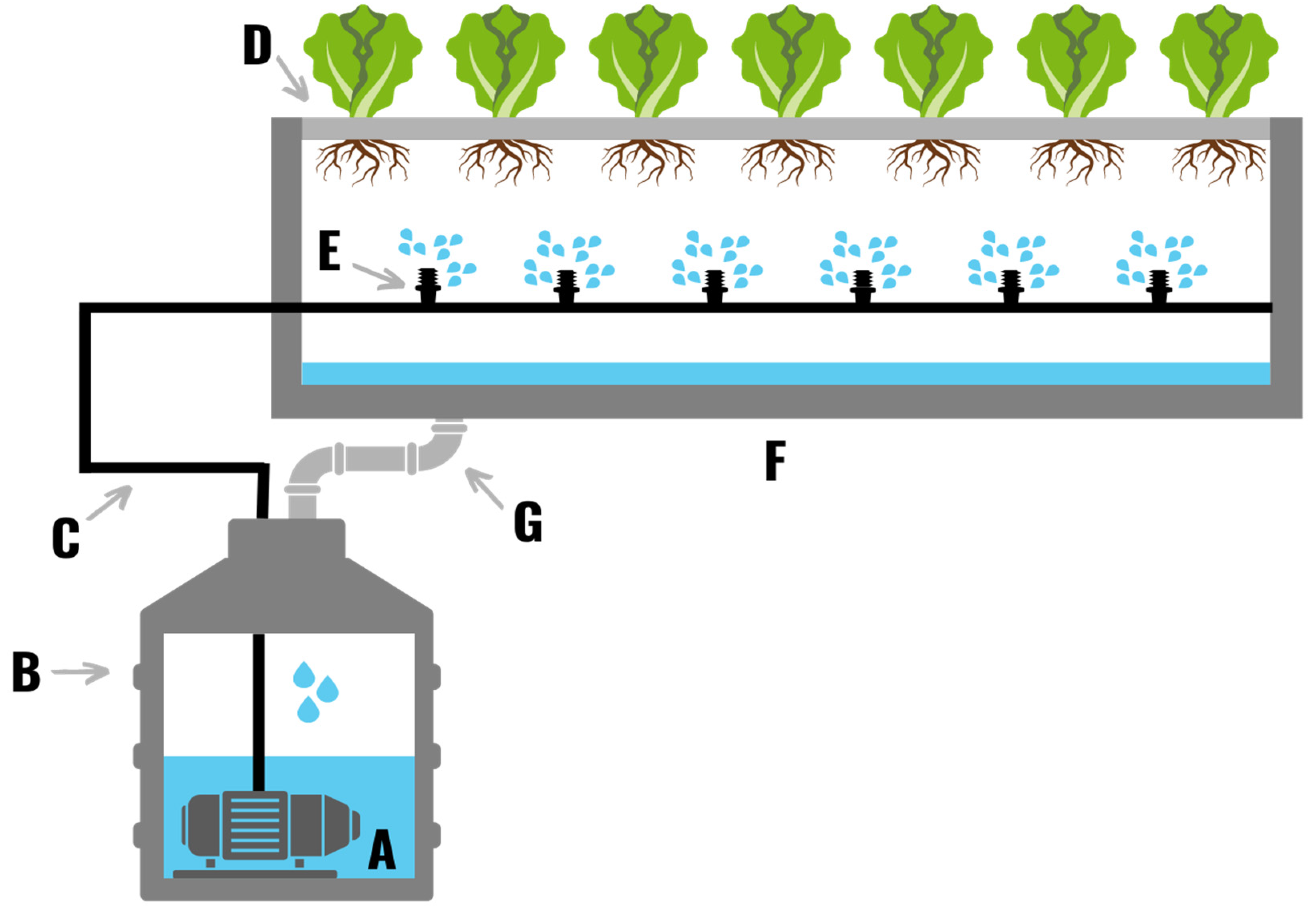 Plants 11 02783 g008