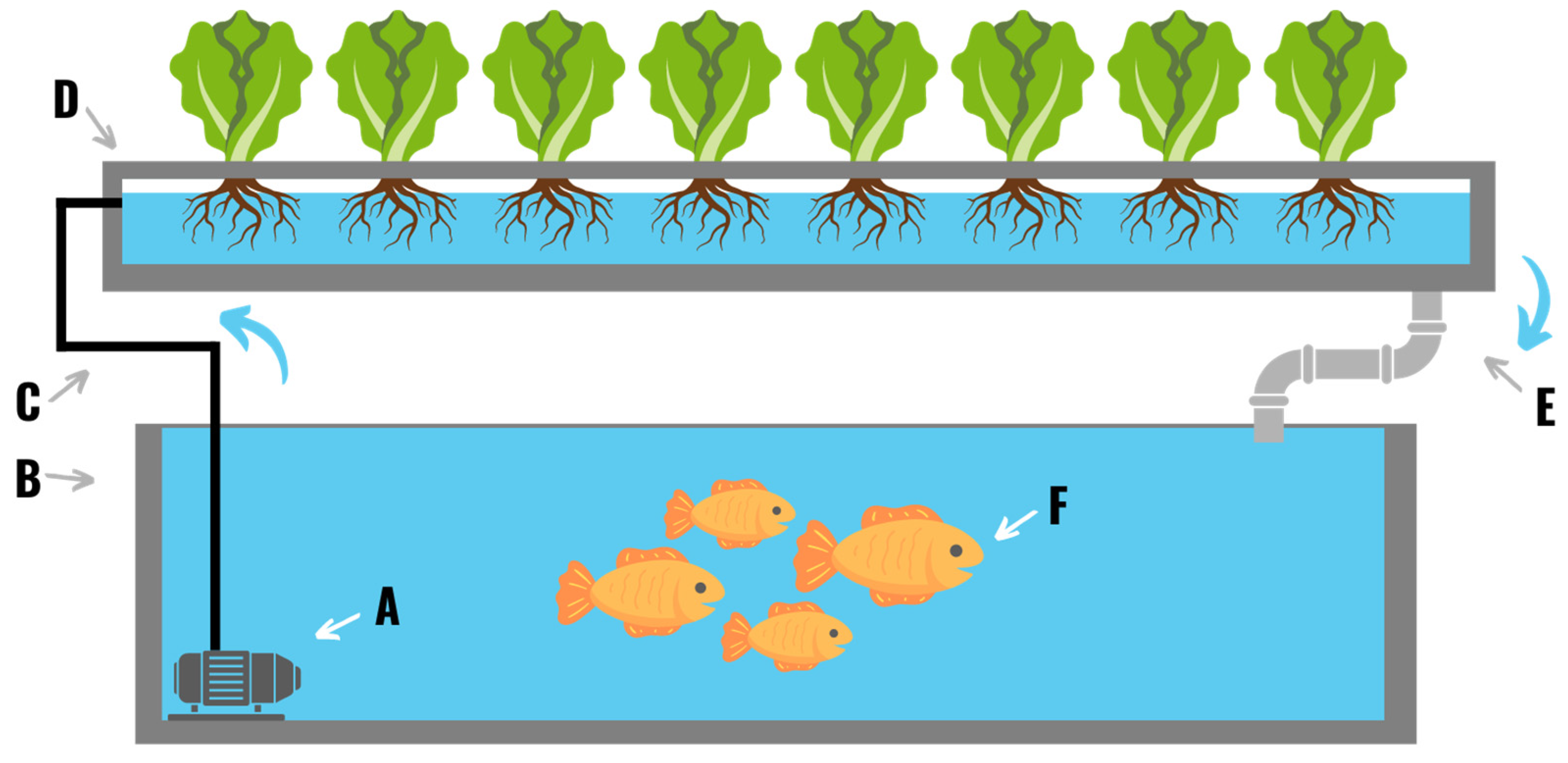 Plants 11 02783 g009