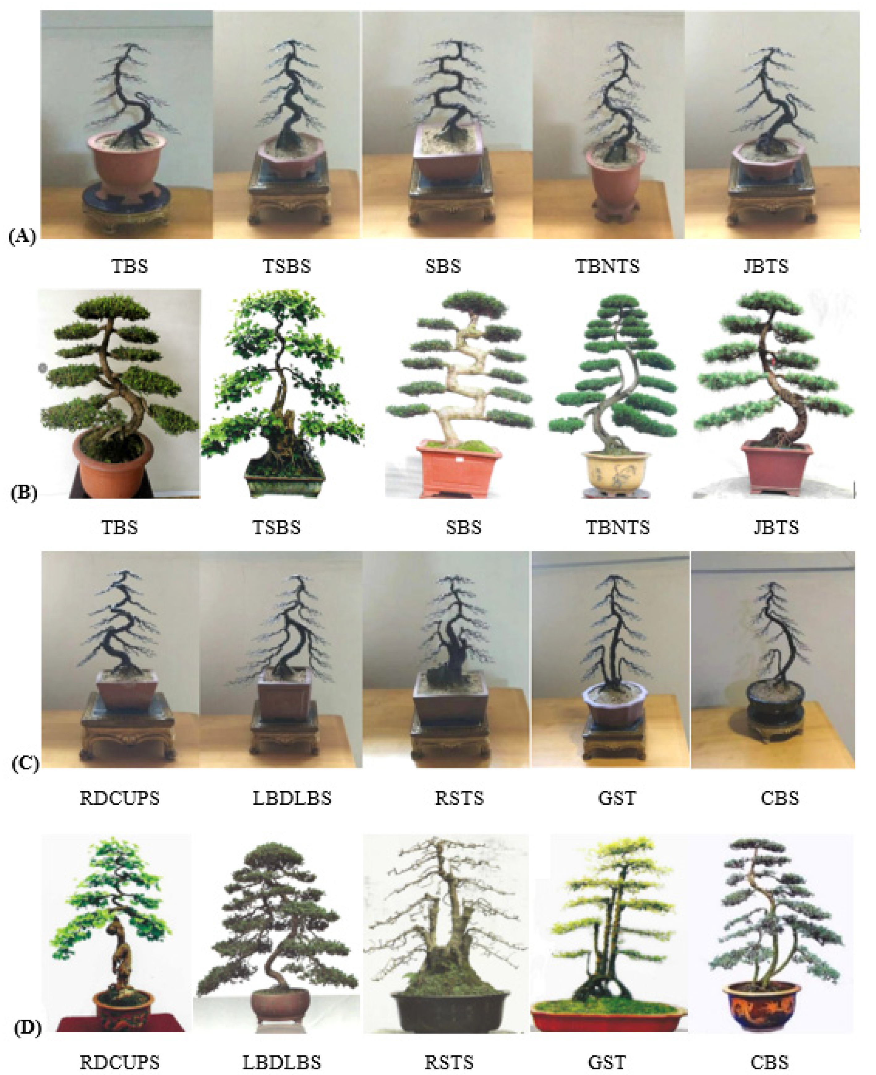 Plants 11 02784 g001