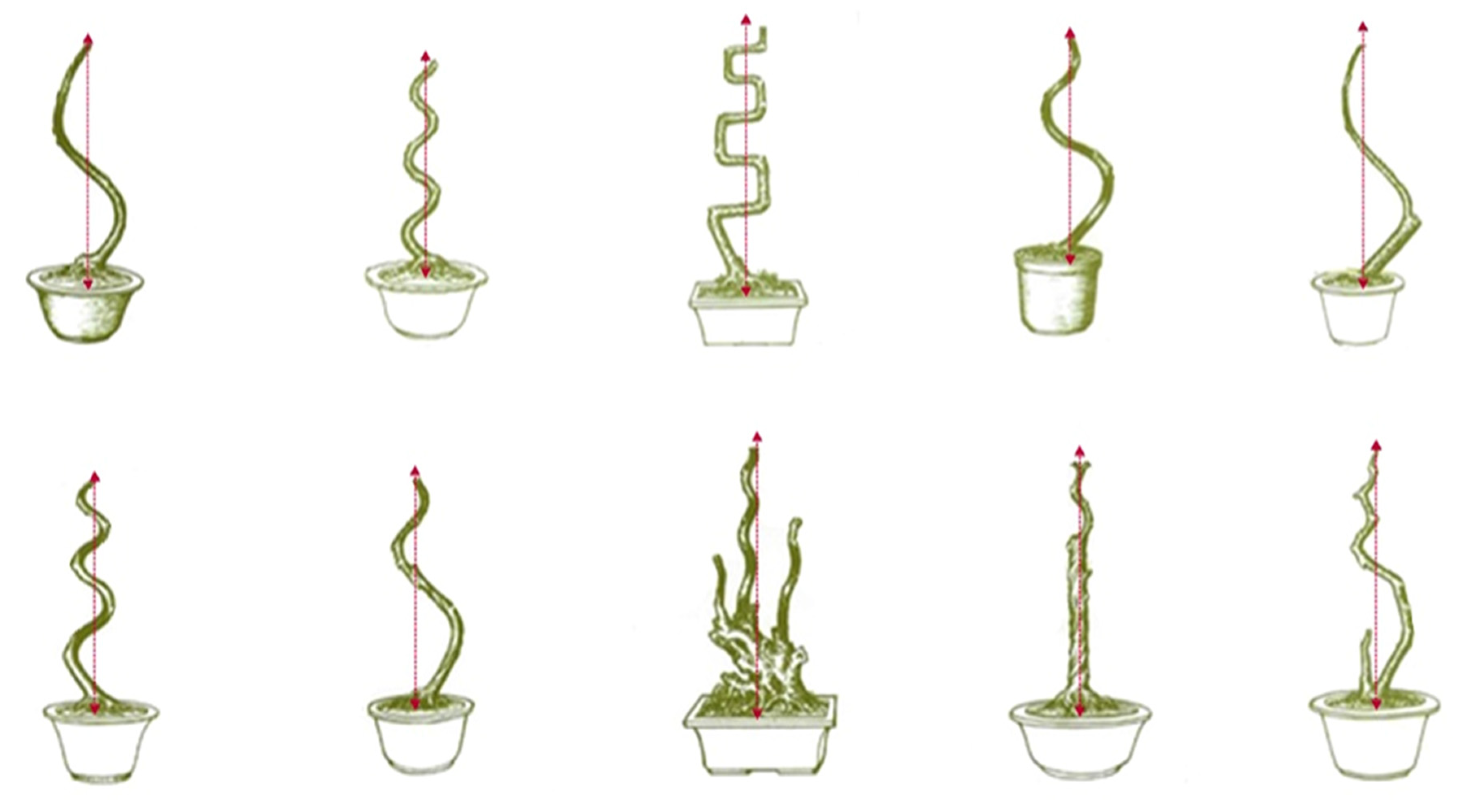 Plants 11 02784 g002