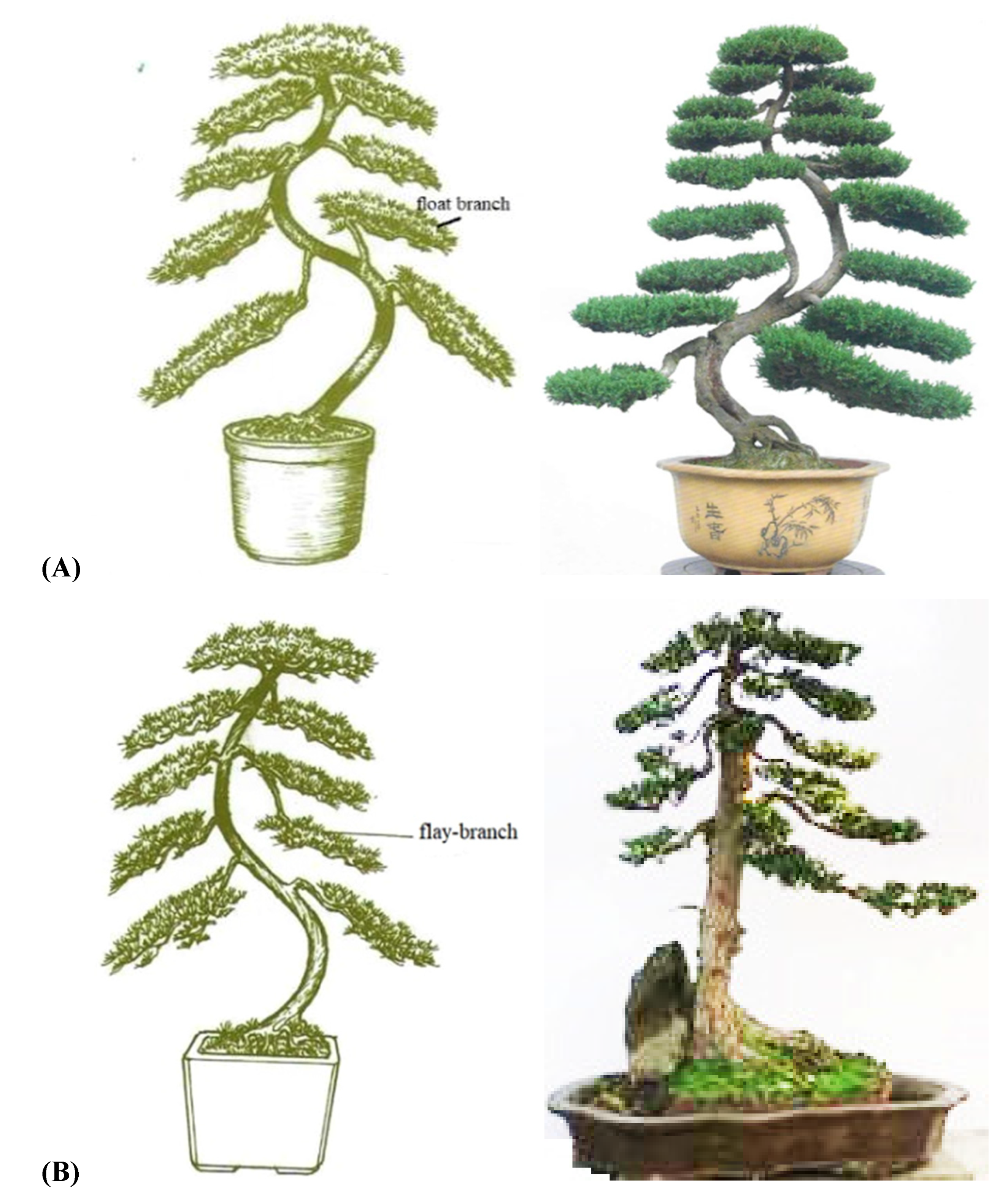 Plants 11 02784 g006