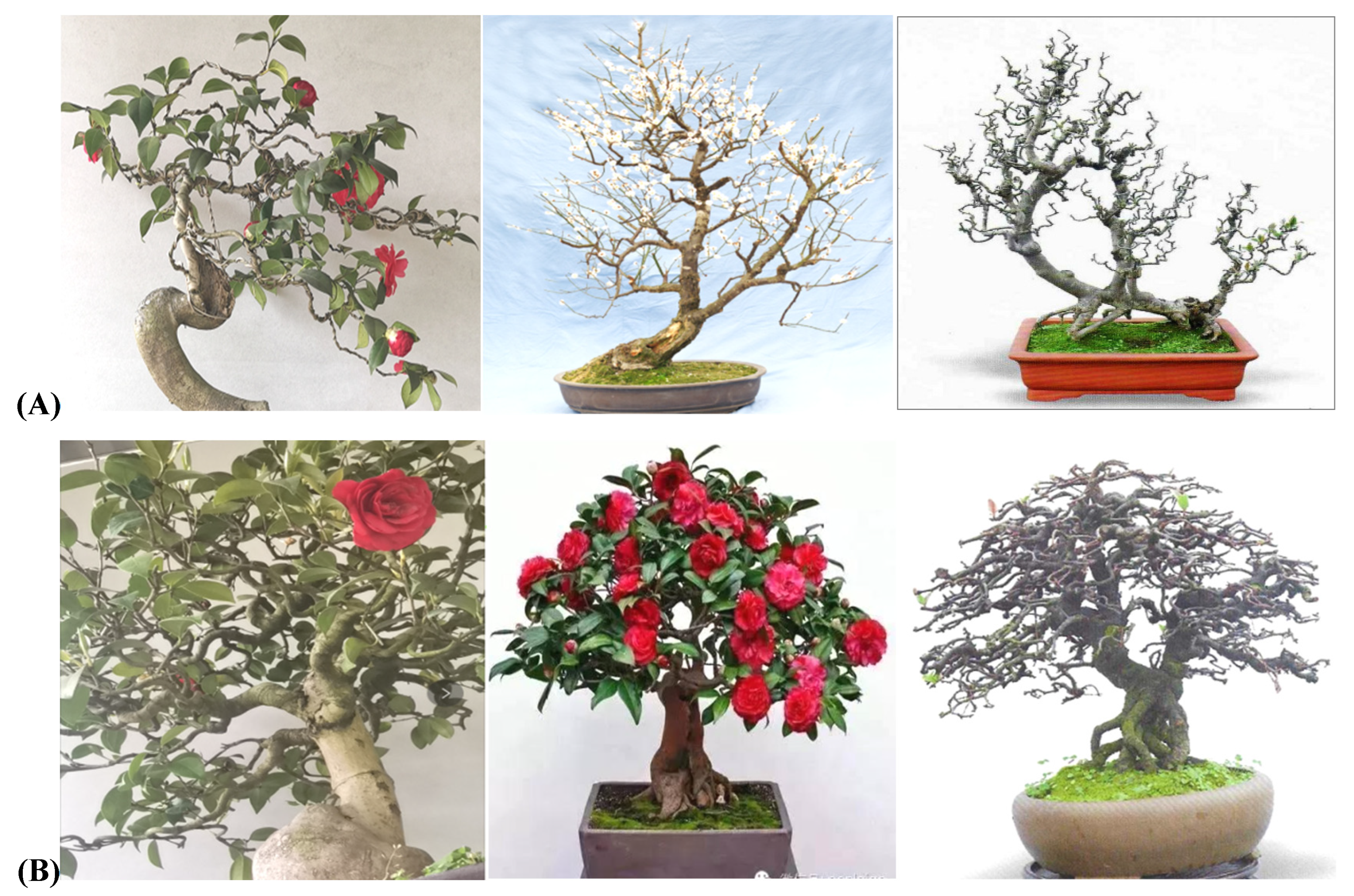Plants 11 02784 g007