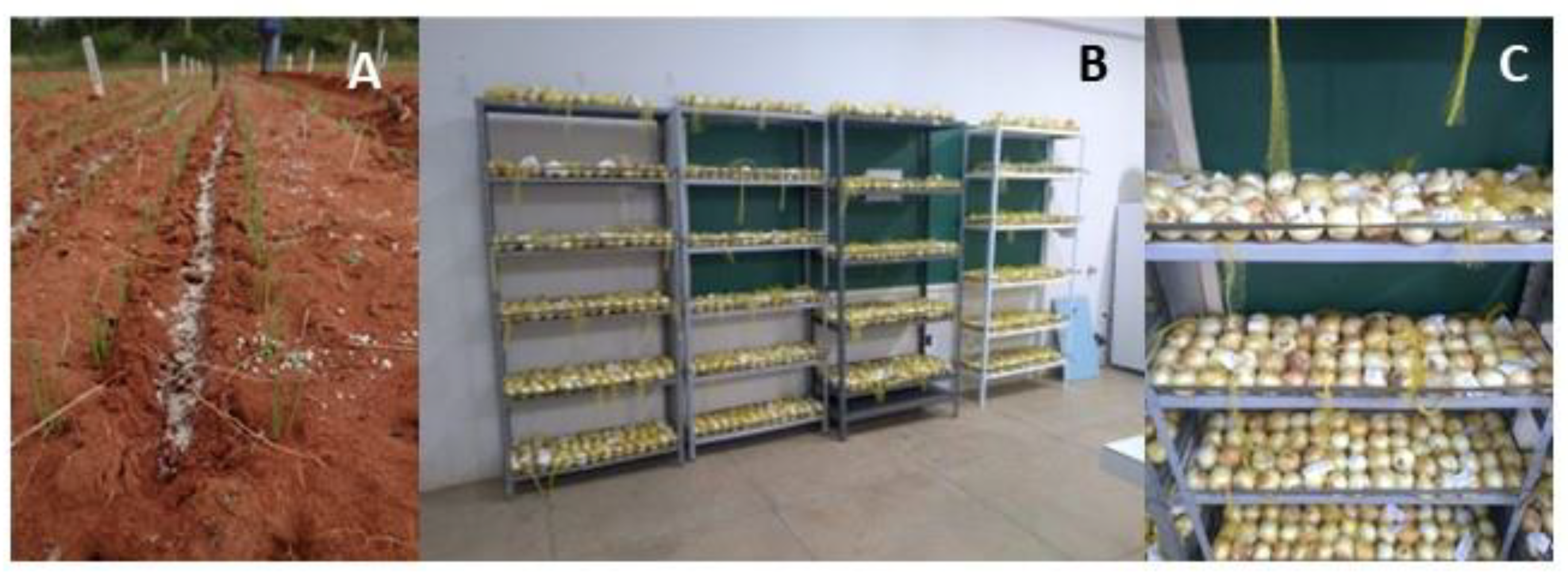 Plants 11 02788 g012