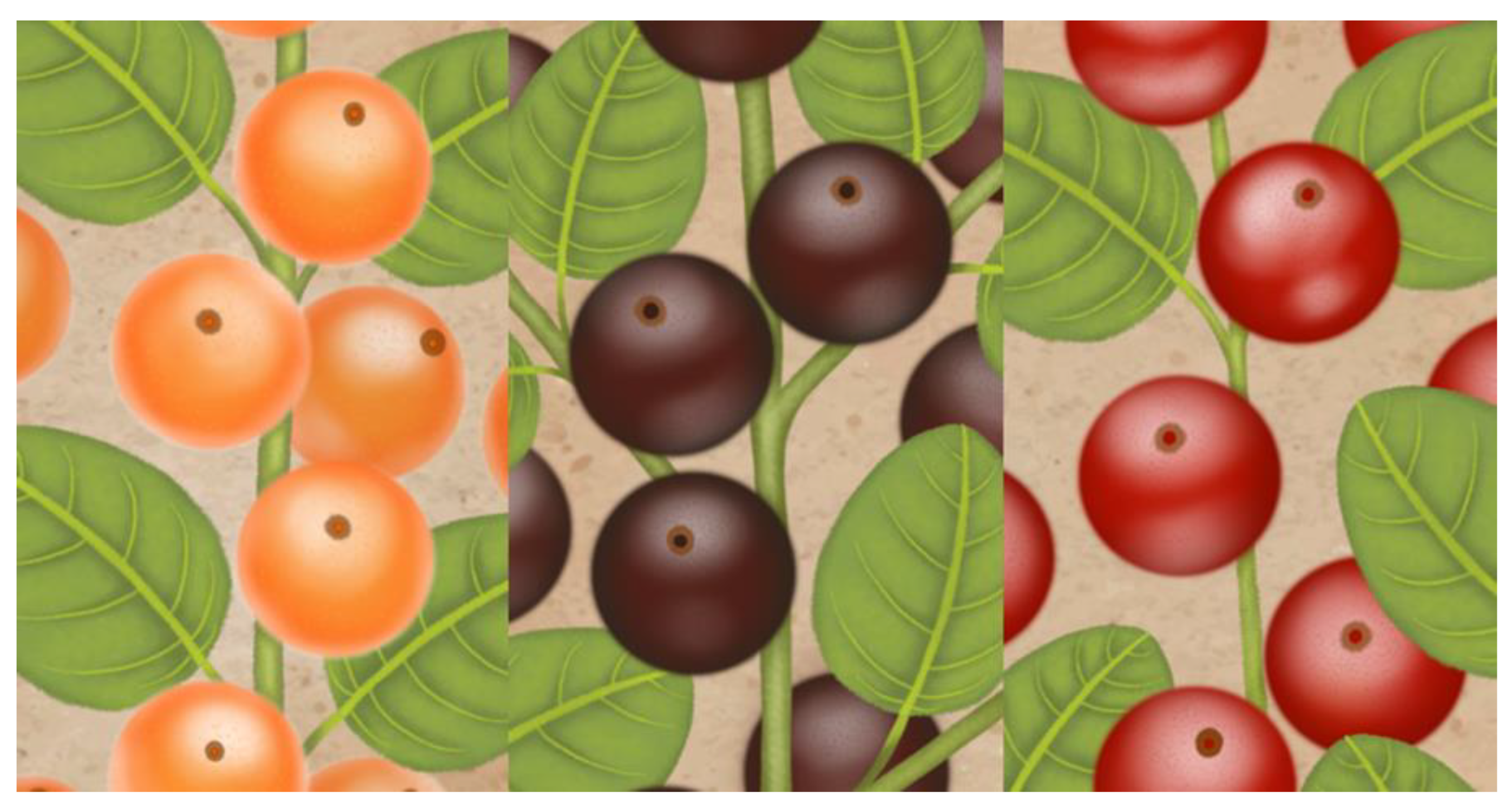 Plants 11 02796 g002