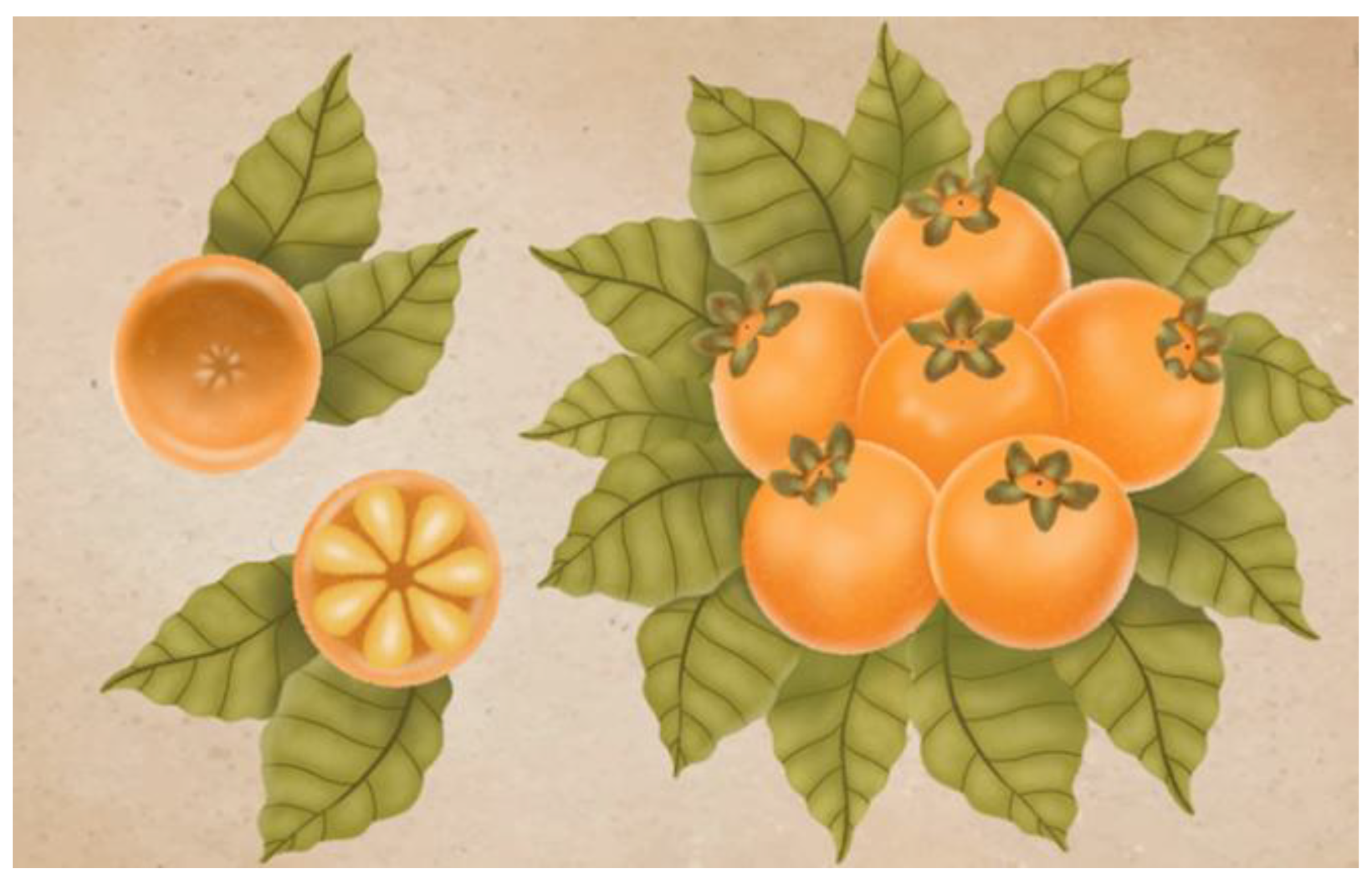 Plants 11 02796 g003