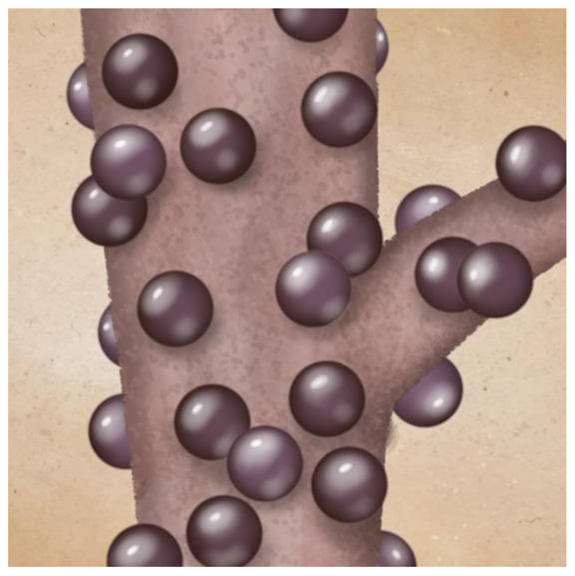 Plants 11 02796 g005