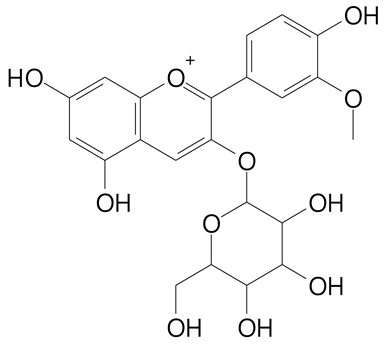 Plants 11 02796 i049 Plants 11 02796 i049