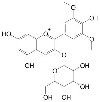Plants 11 02796 i052 Plants 11 02796 i052