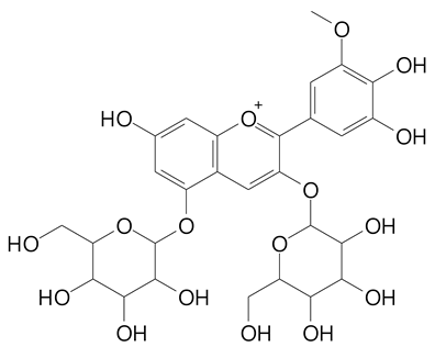 Plants 11 02796 i053 Plants 11 02796 i053