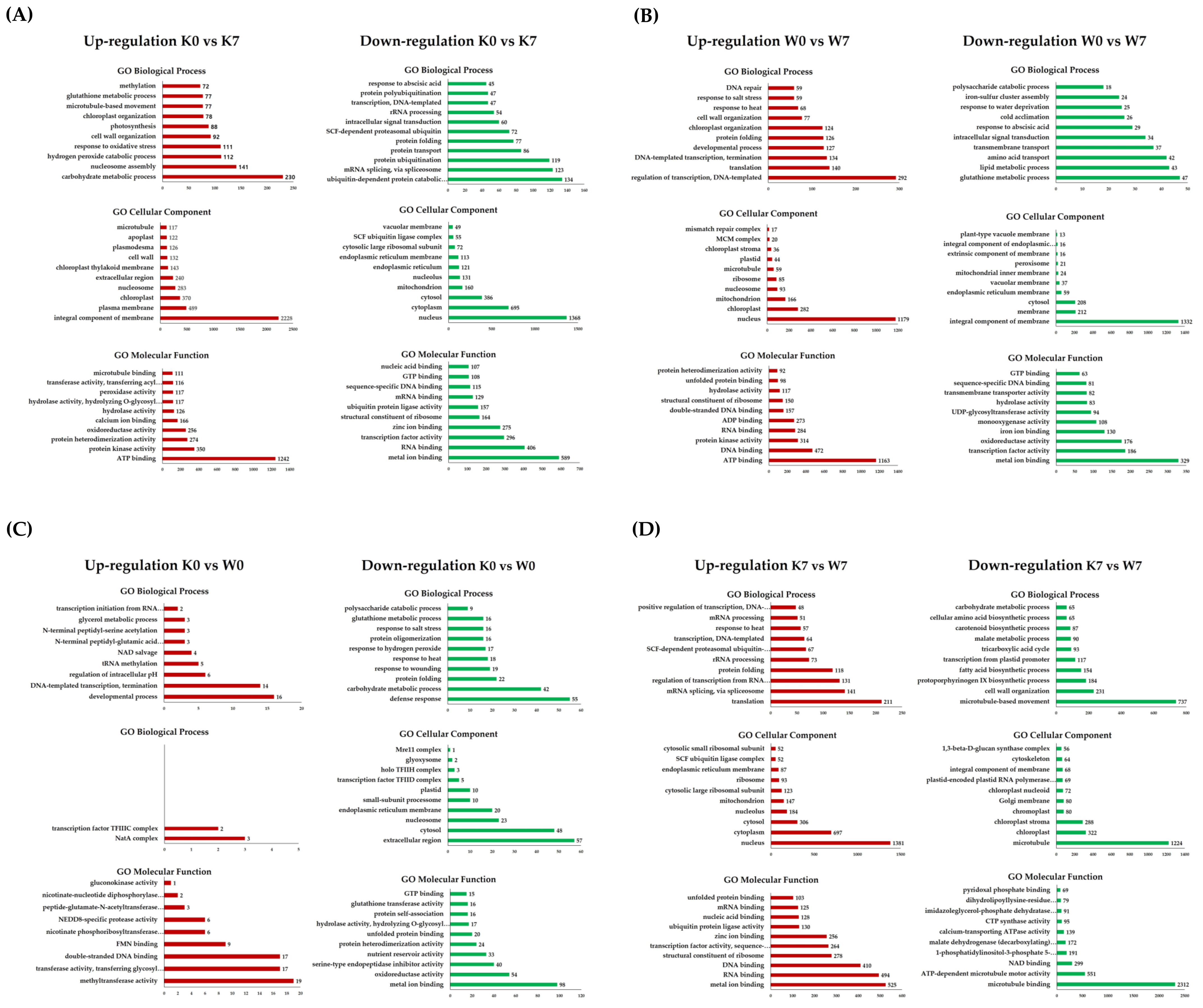 Plants 11 02807 g003