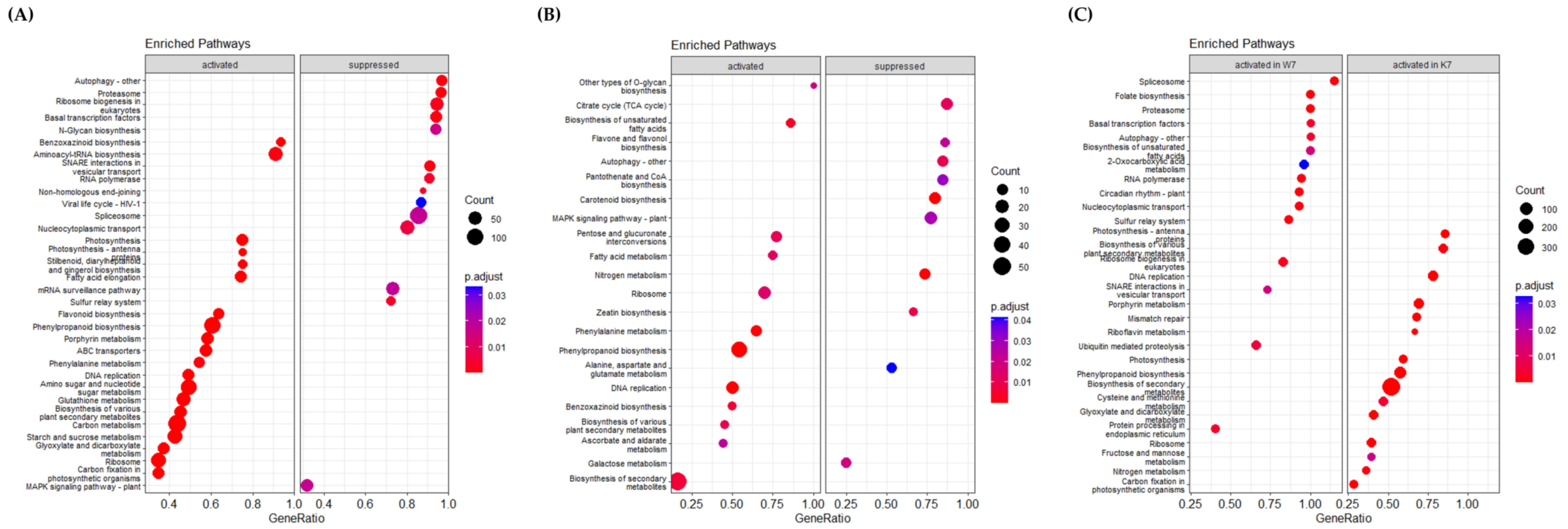 Plants 11 02807 g004