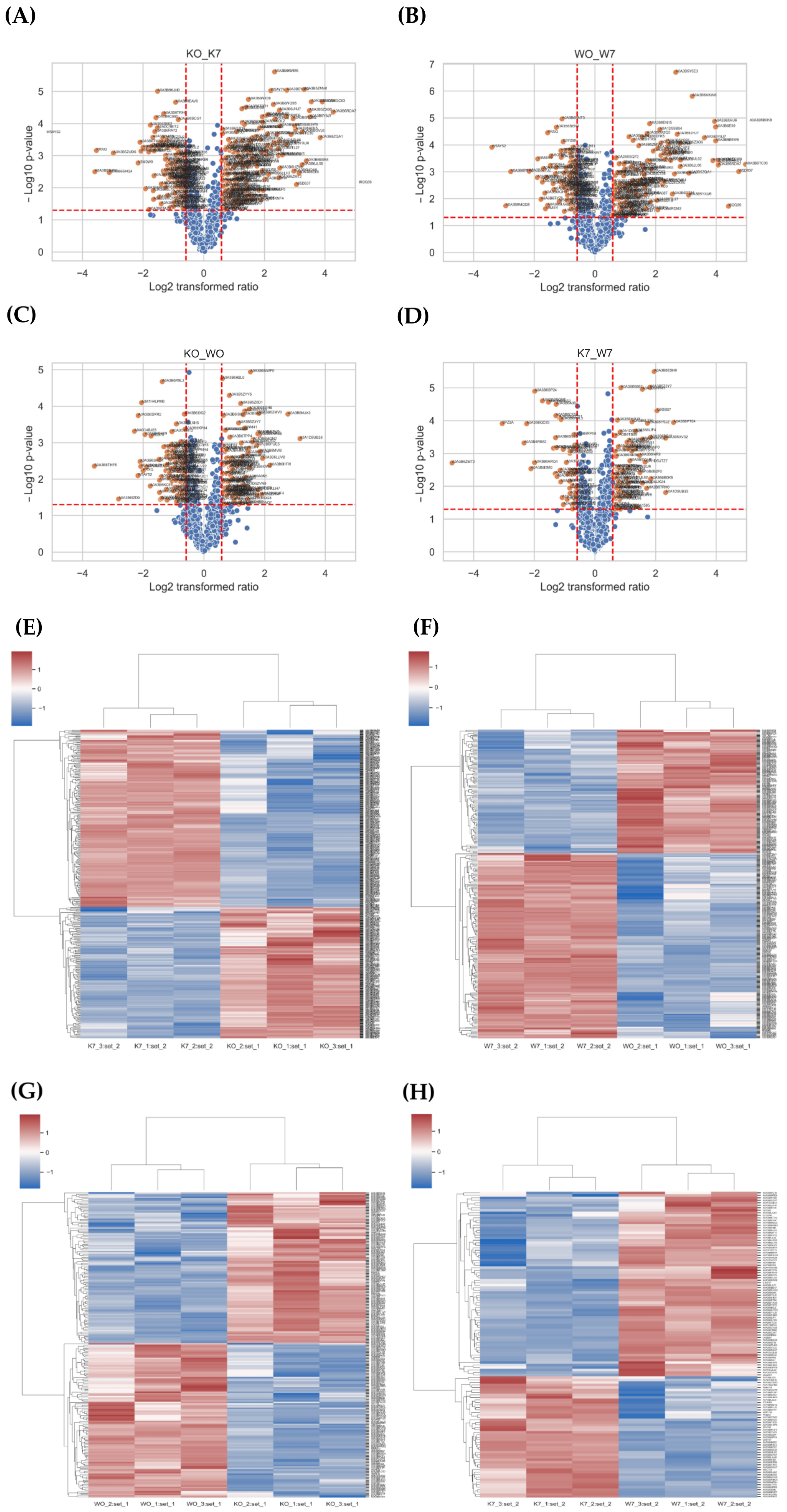 Plants 11 02807 g005