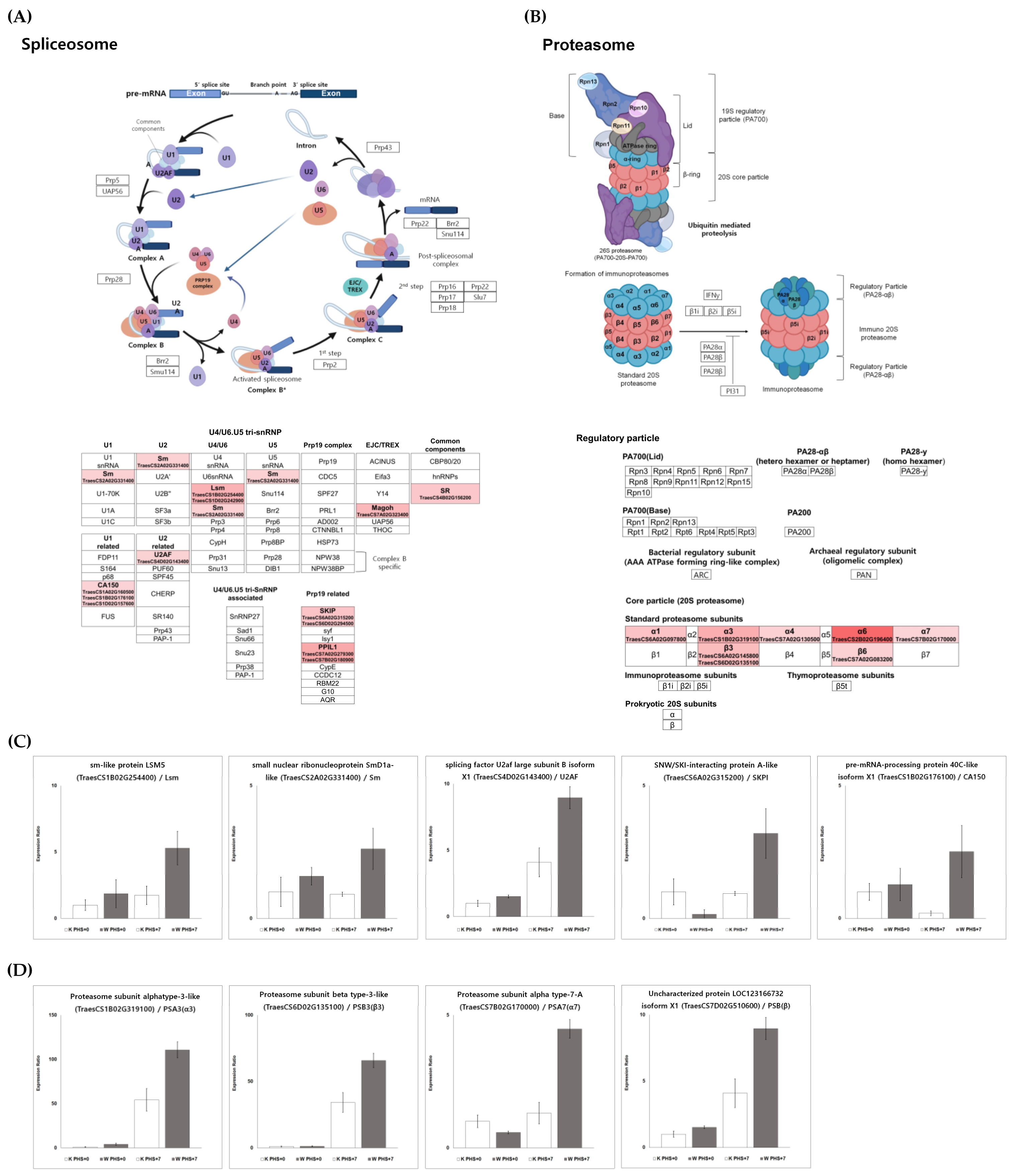 Plants 11 02807 g008