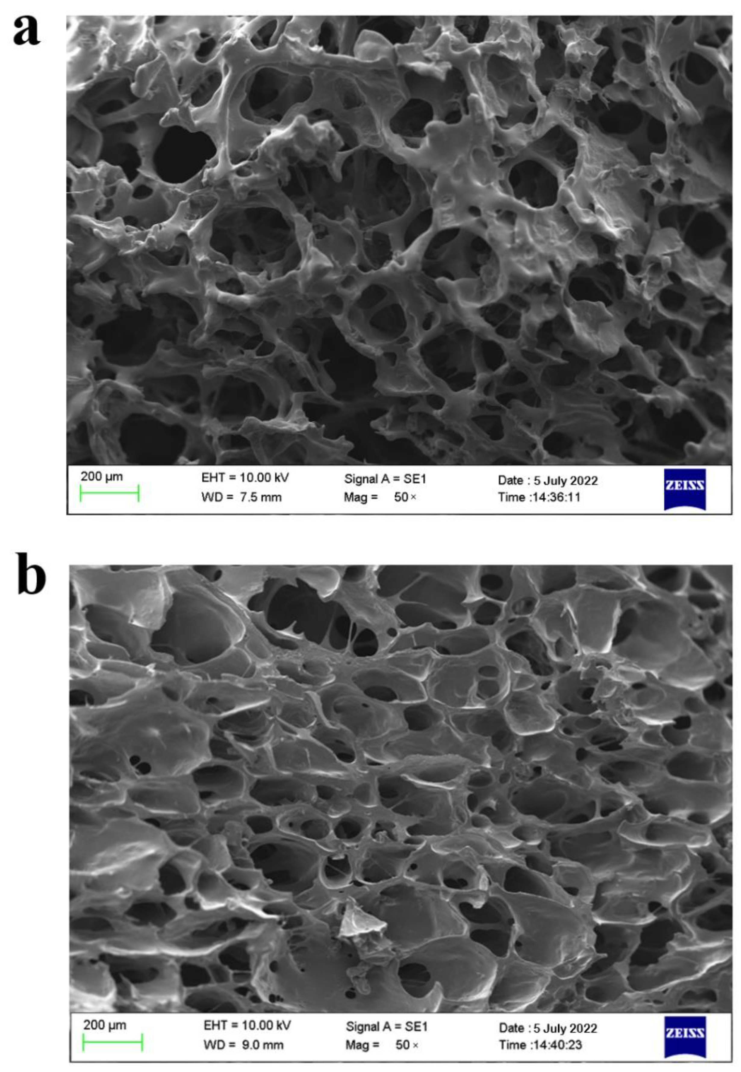 Plants 11 02809 g005