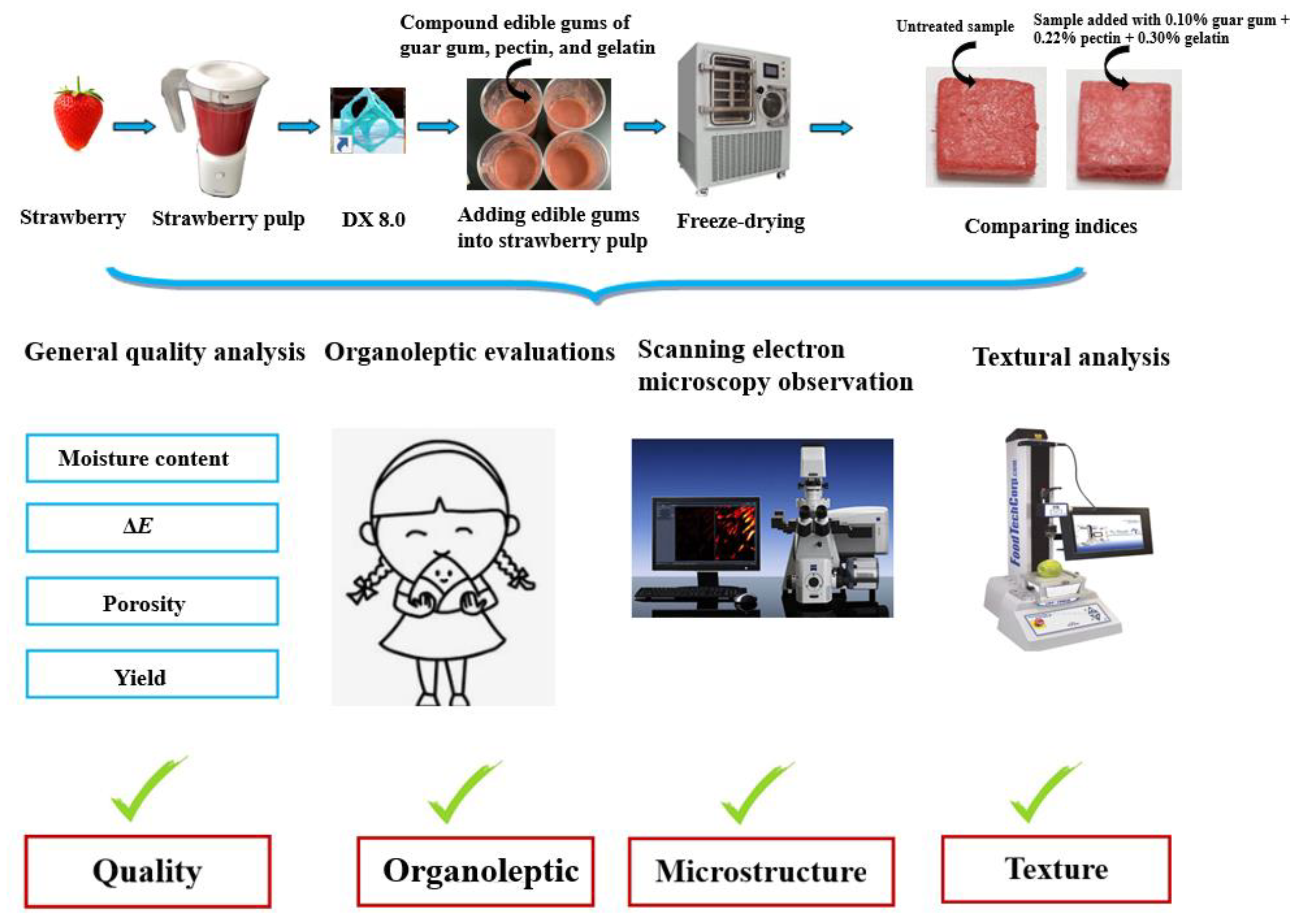 Plants 11 02809 g006