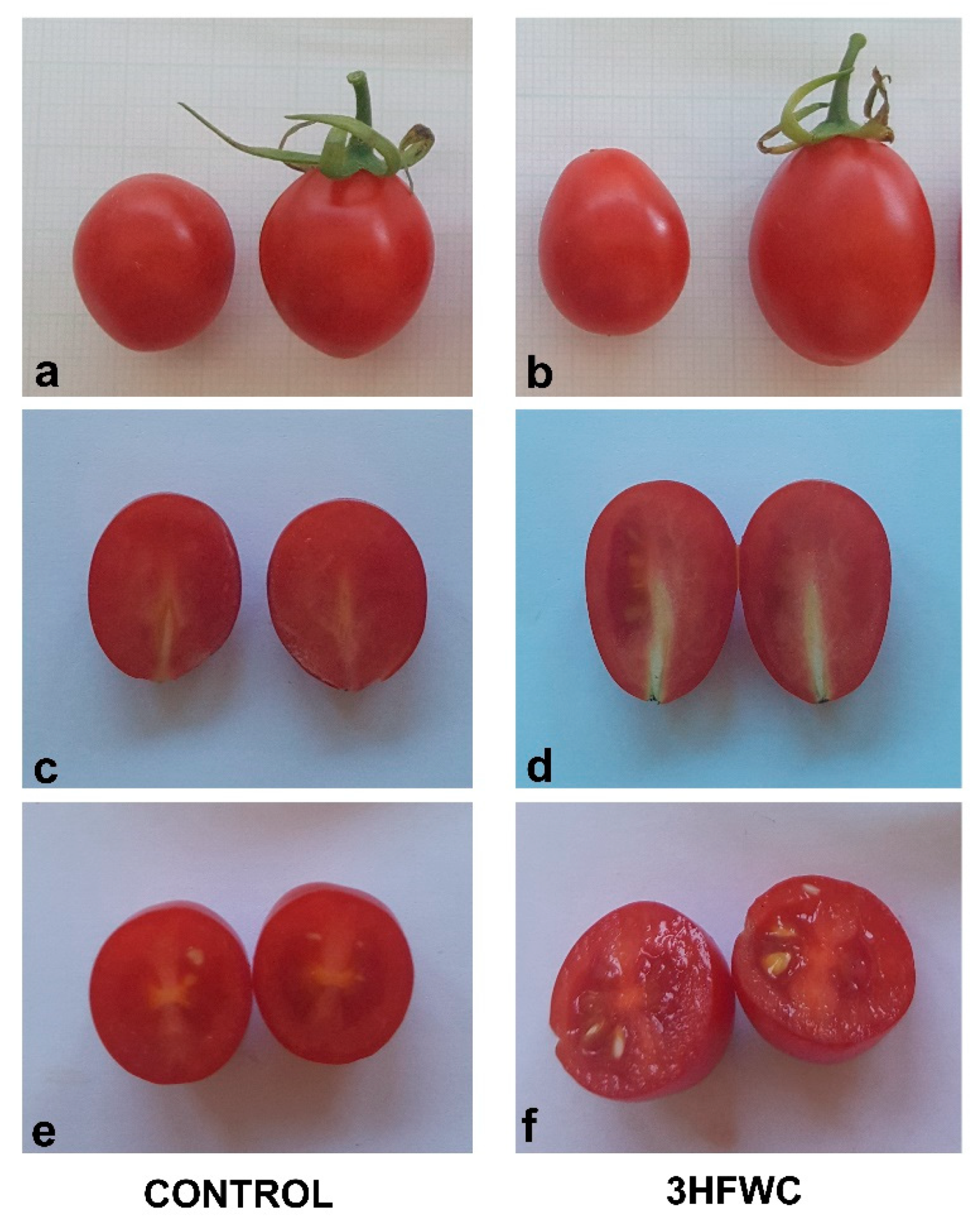 Plants 11 02810 g008